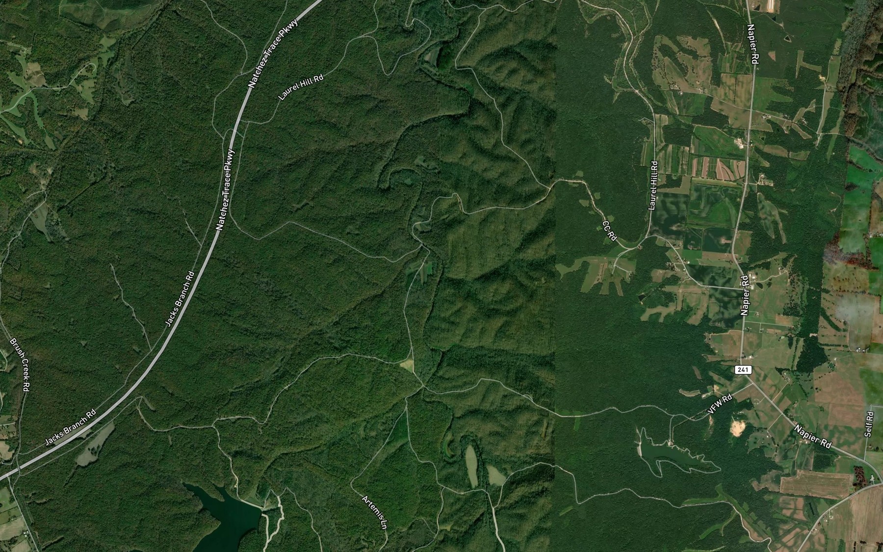 Satellite map of the Short Branch