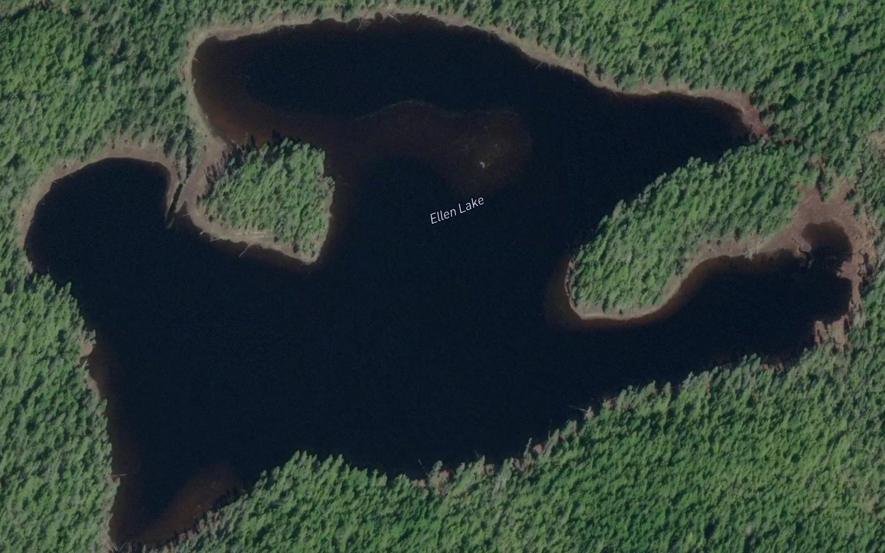 Satellite map of the Ellen Lake
