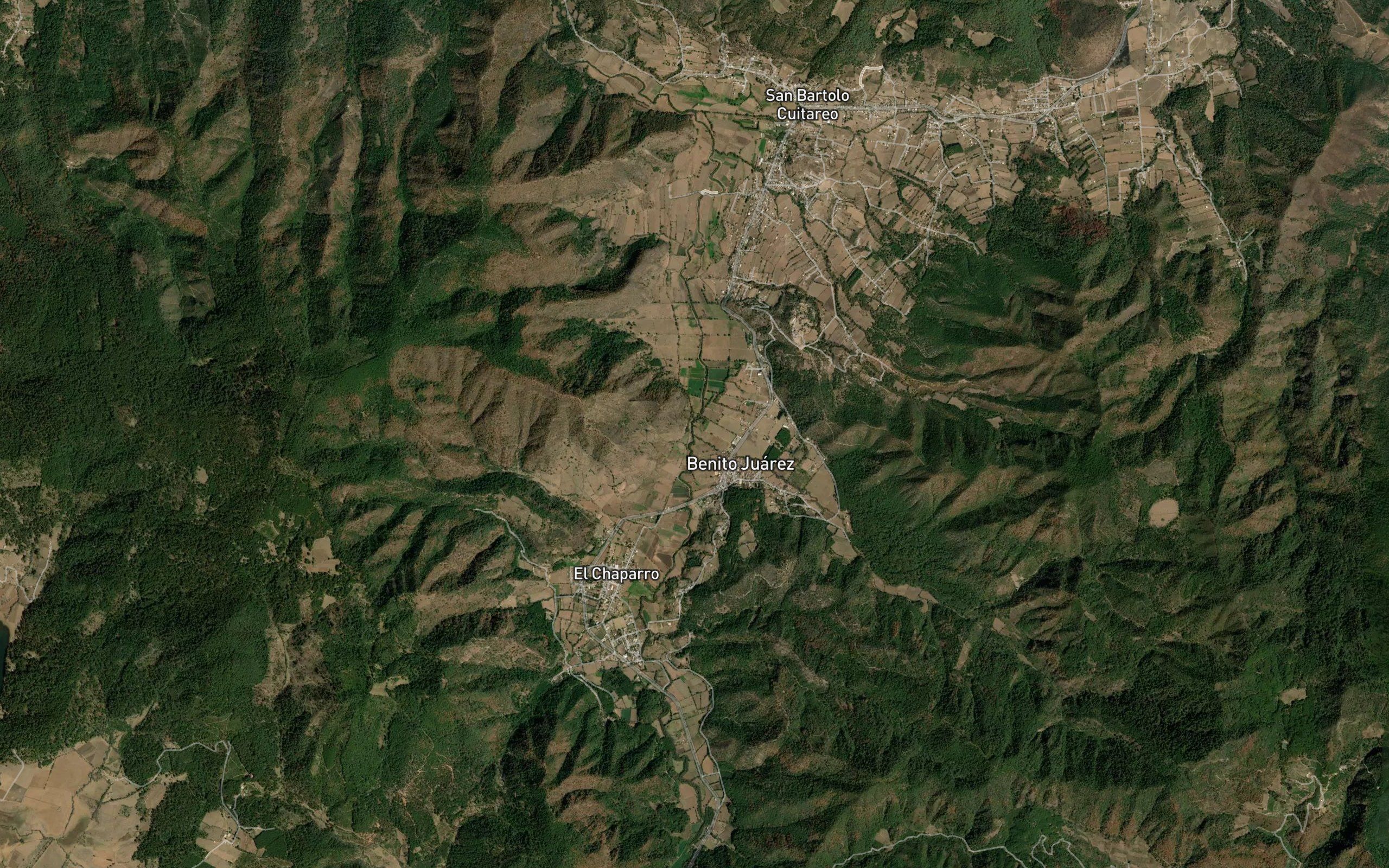 Palo Verde