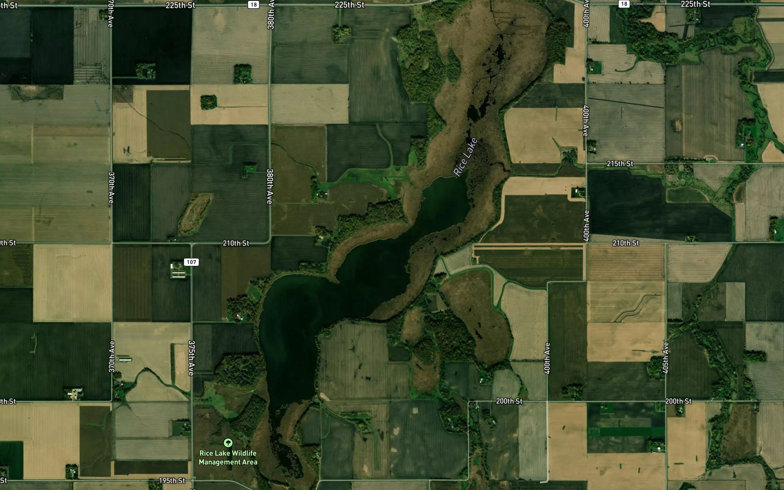 Rice Lake