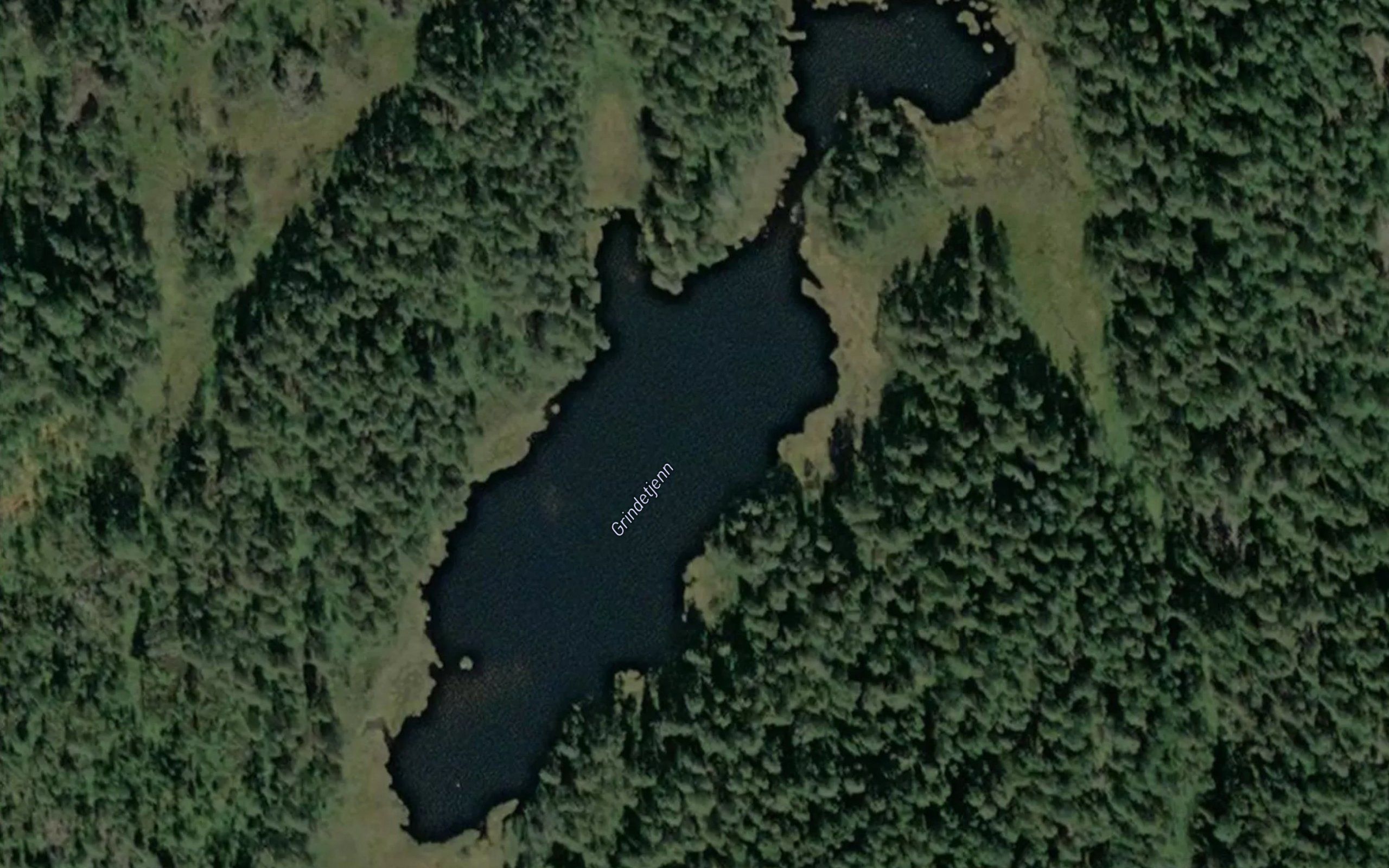 Grindetjern