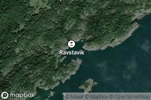 Ravstavik