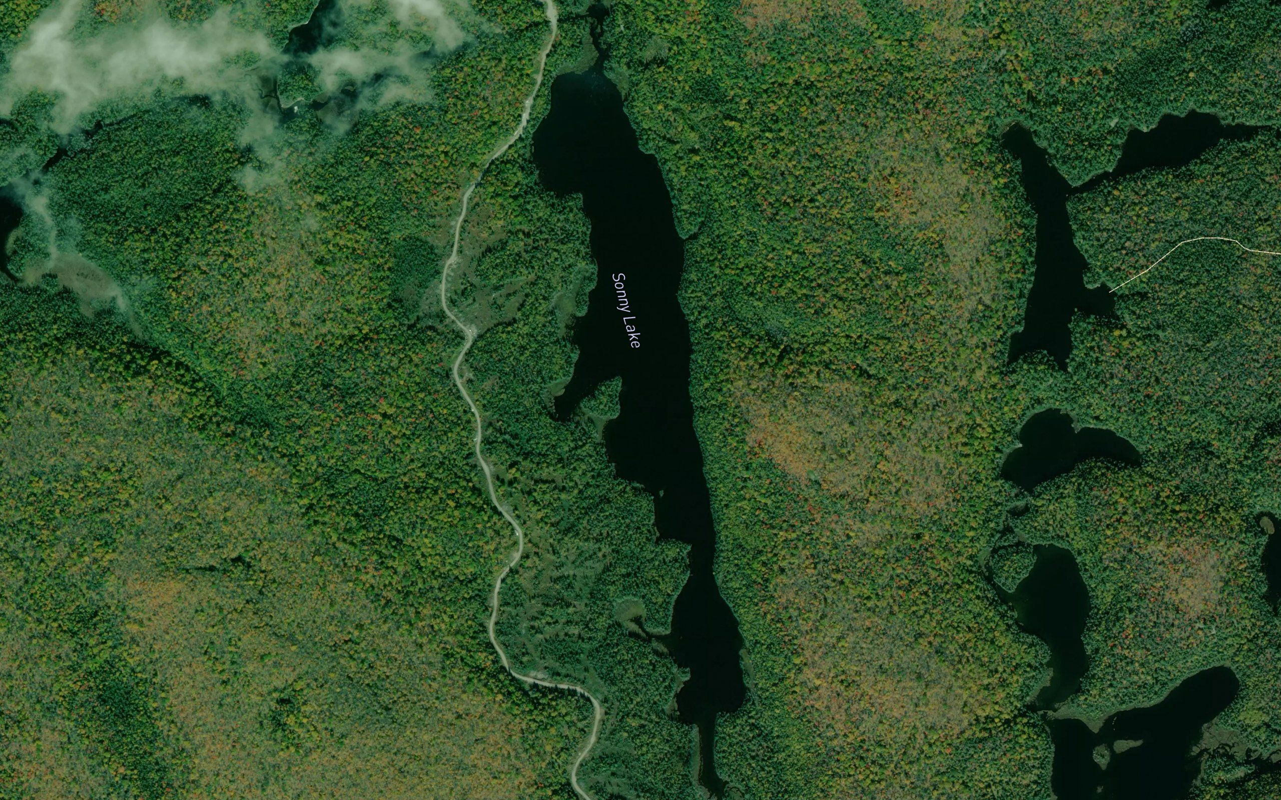 Sonny Lake