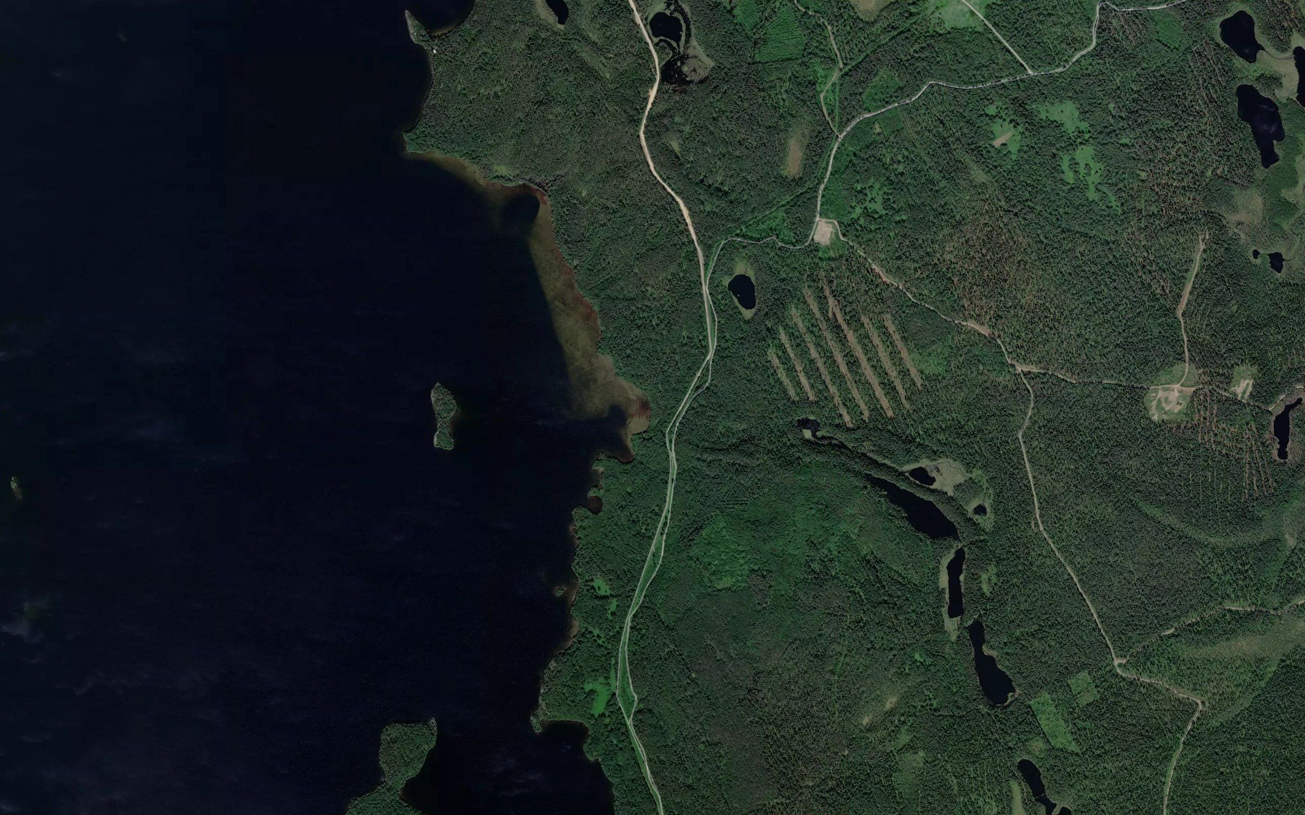 Khortinoya