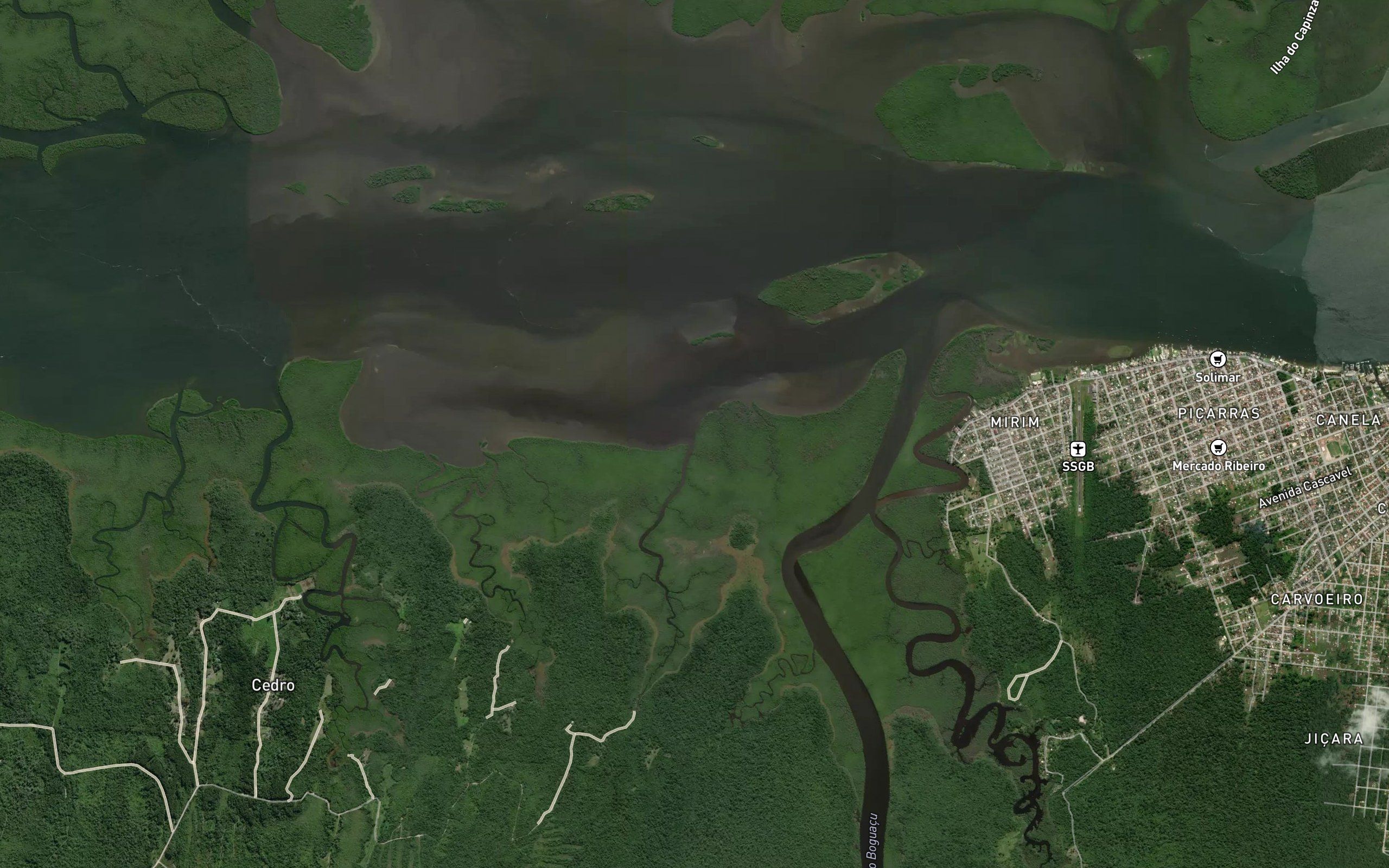 Rio das Garcas