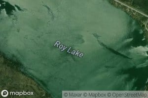 Roy Lake