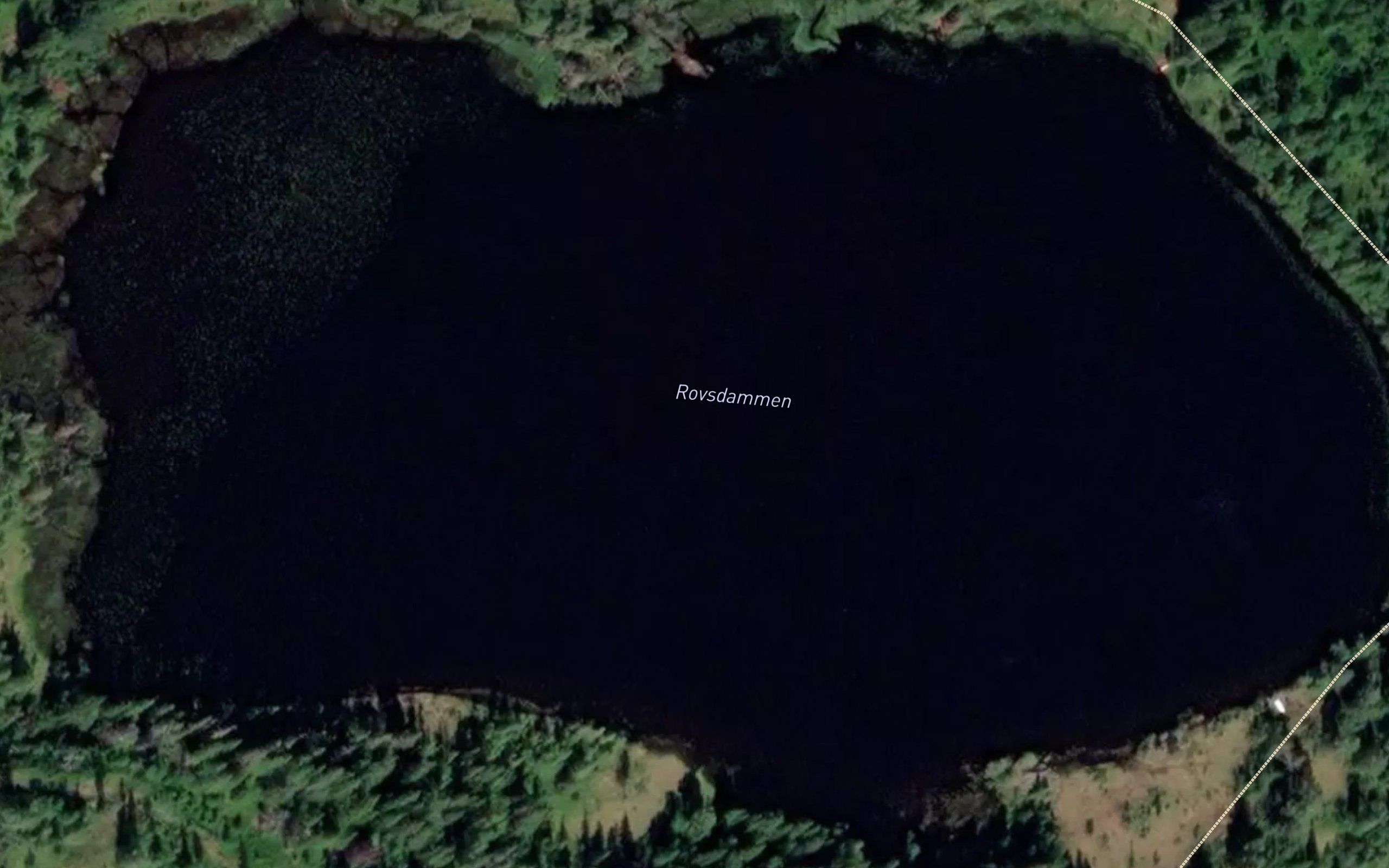 Rovstjorna