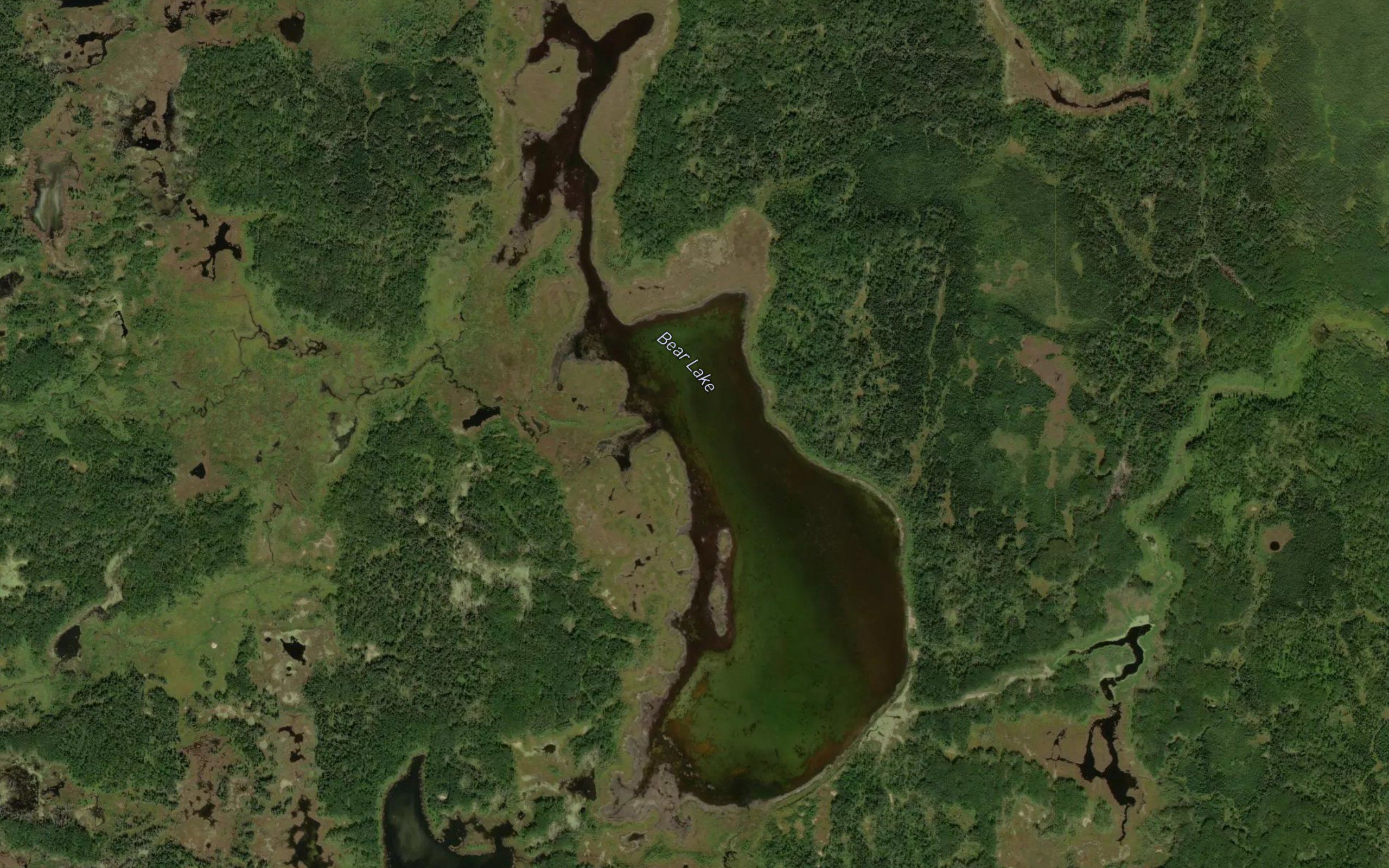 Bear Lake