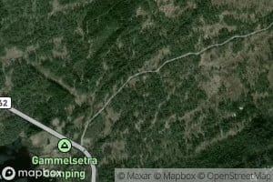 Fremste Gammelseterelva