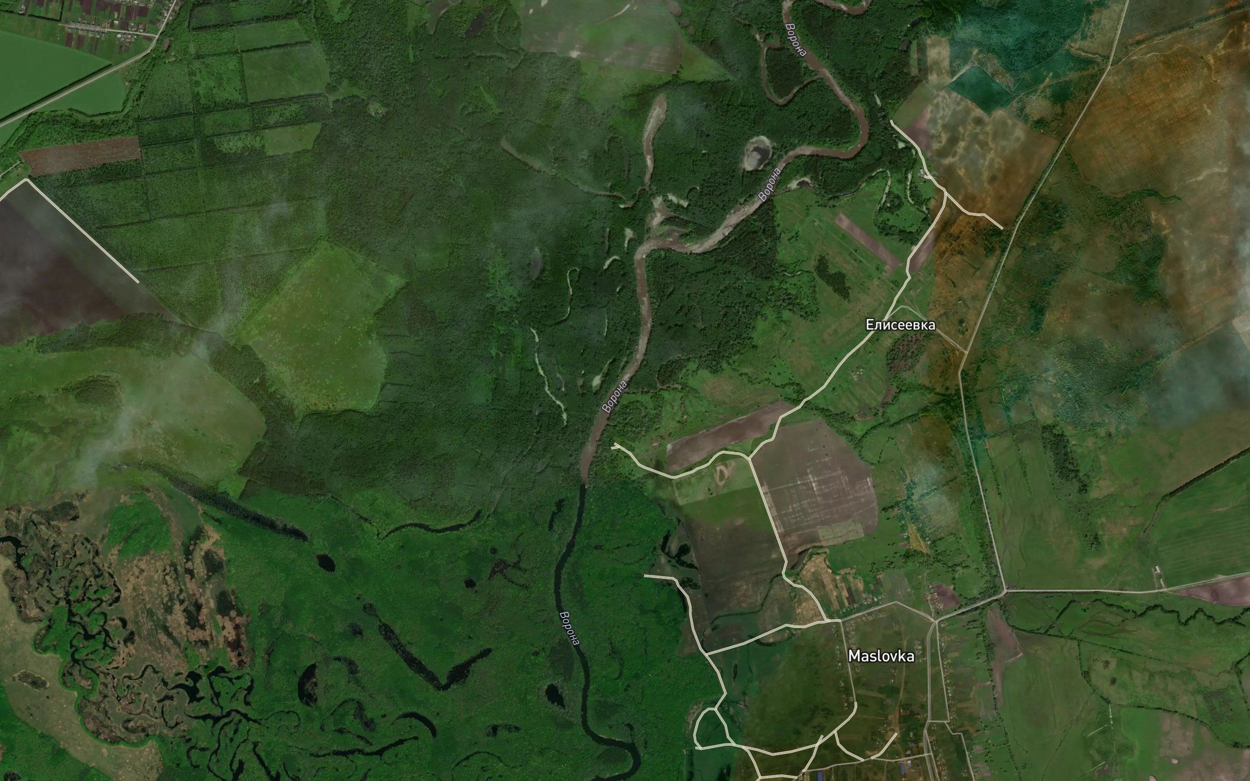 Orzhevka