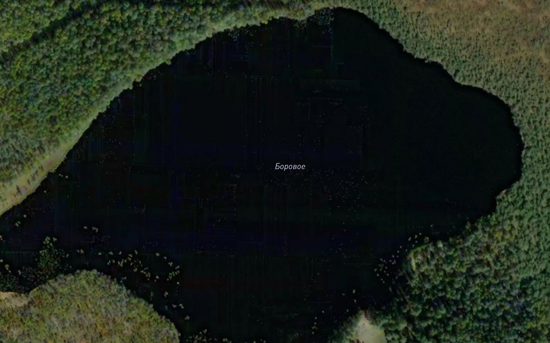 Satellite map of the Ozero Borovoye