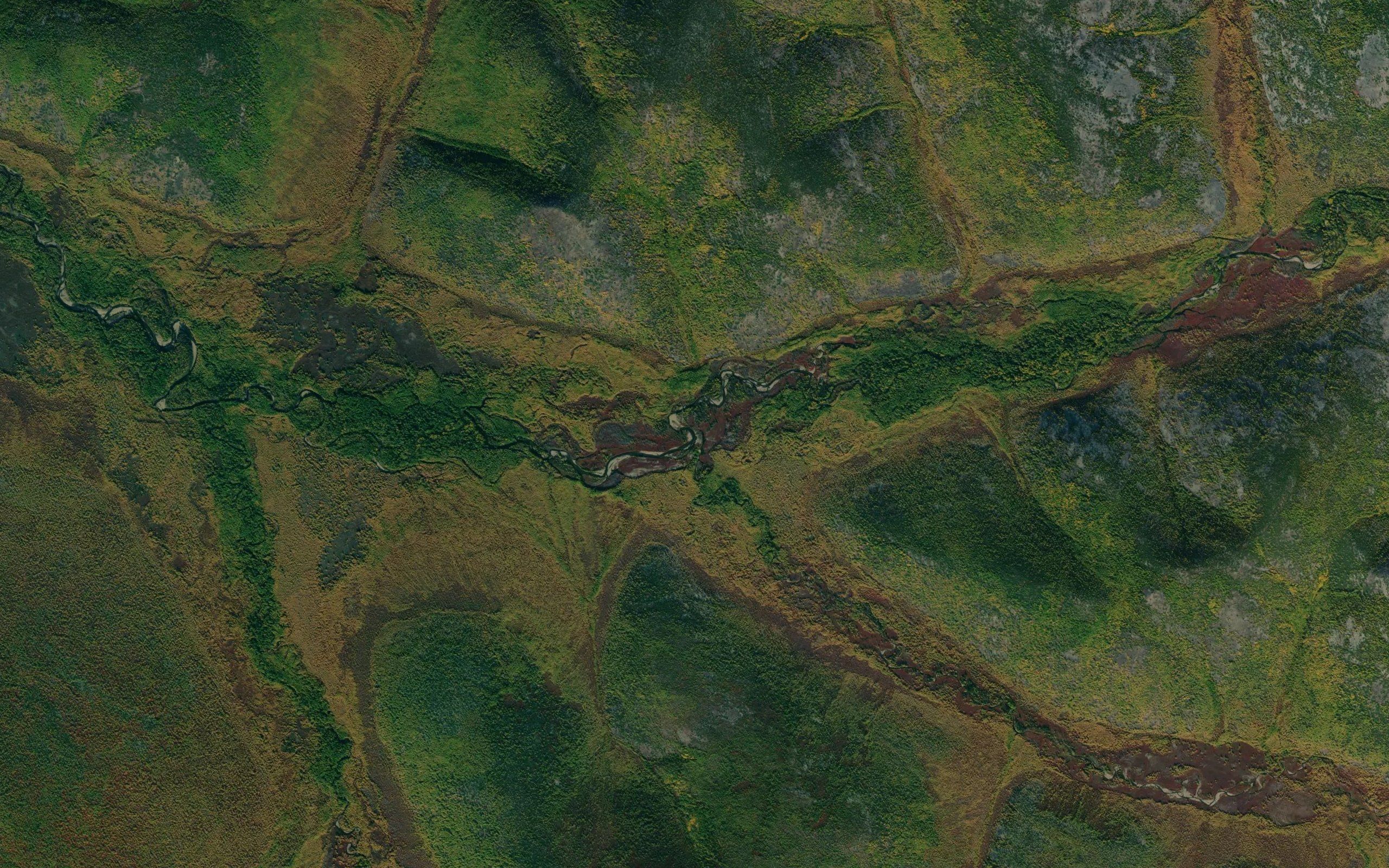 Snezhnyy