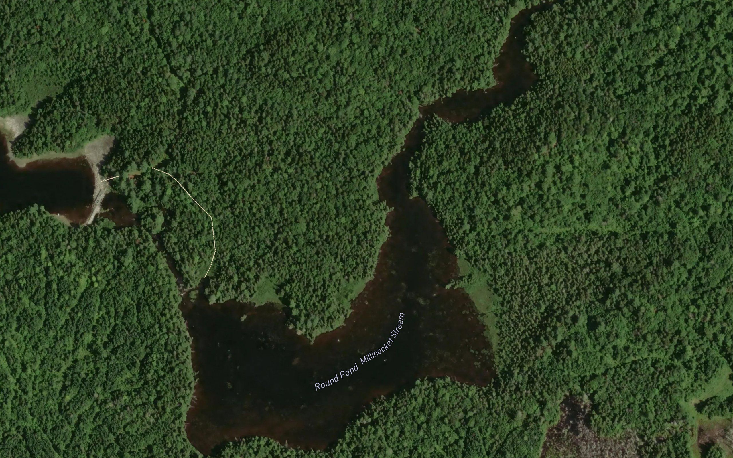 Round Pond