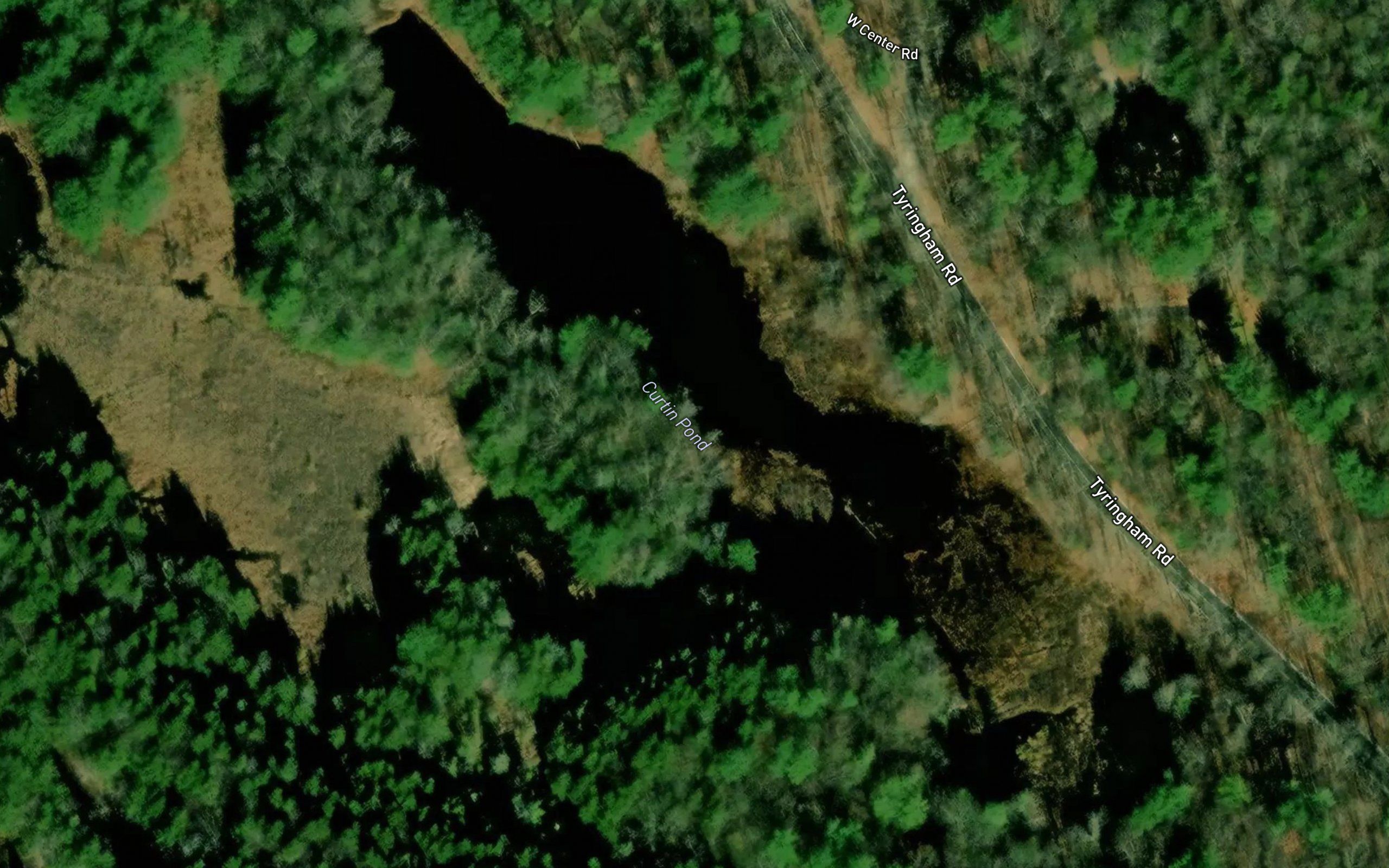 Curtin Pond