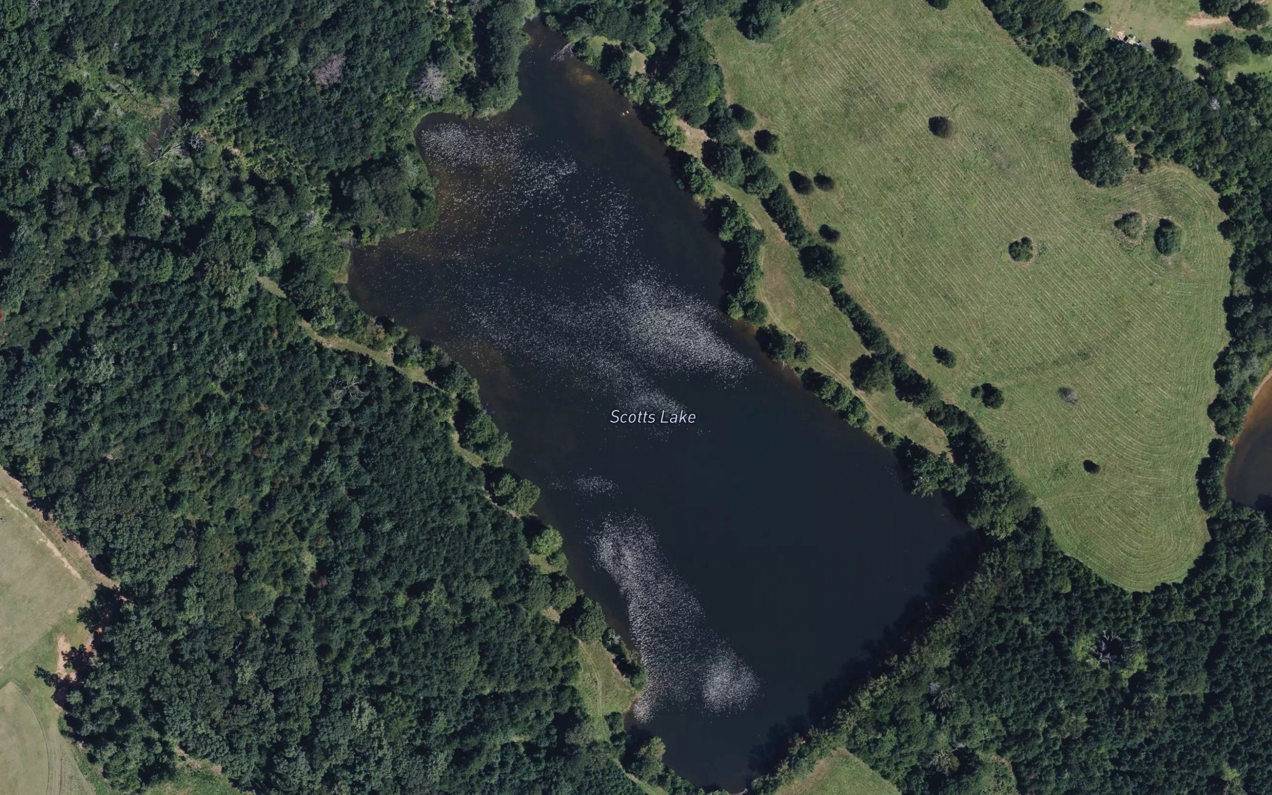 Scotts Lake