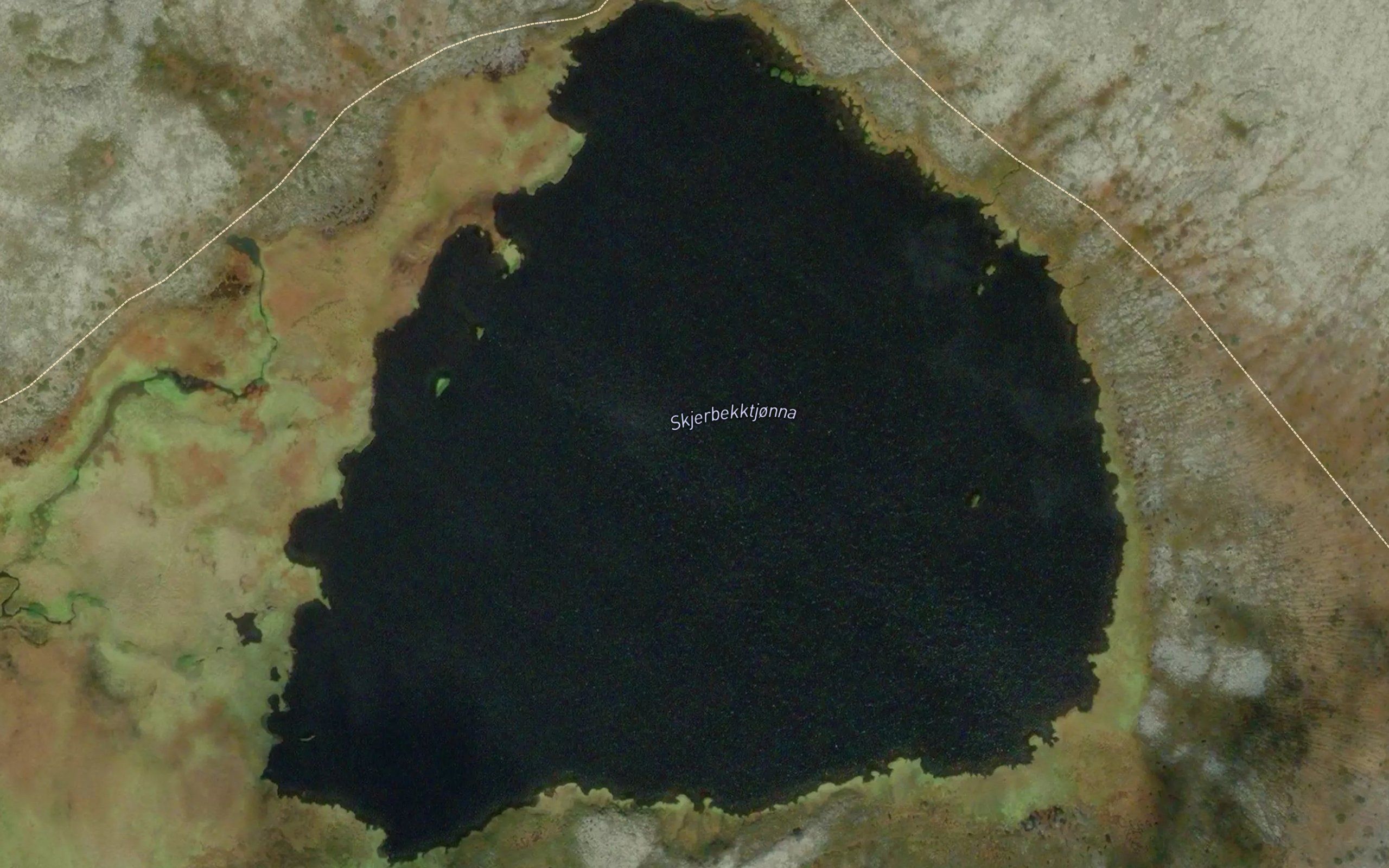 Skjerbekktjorna