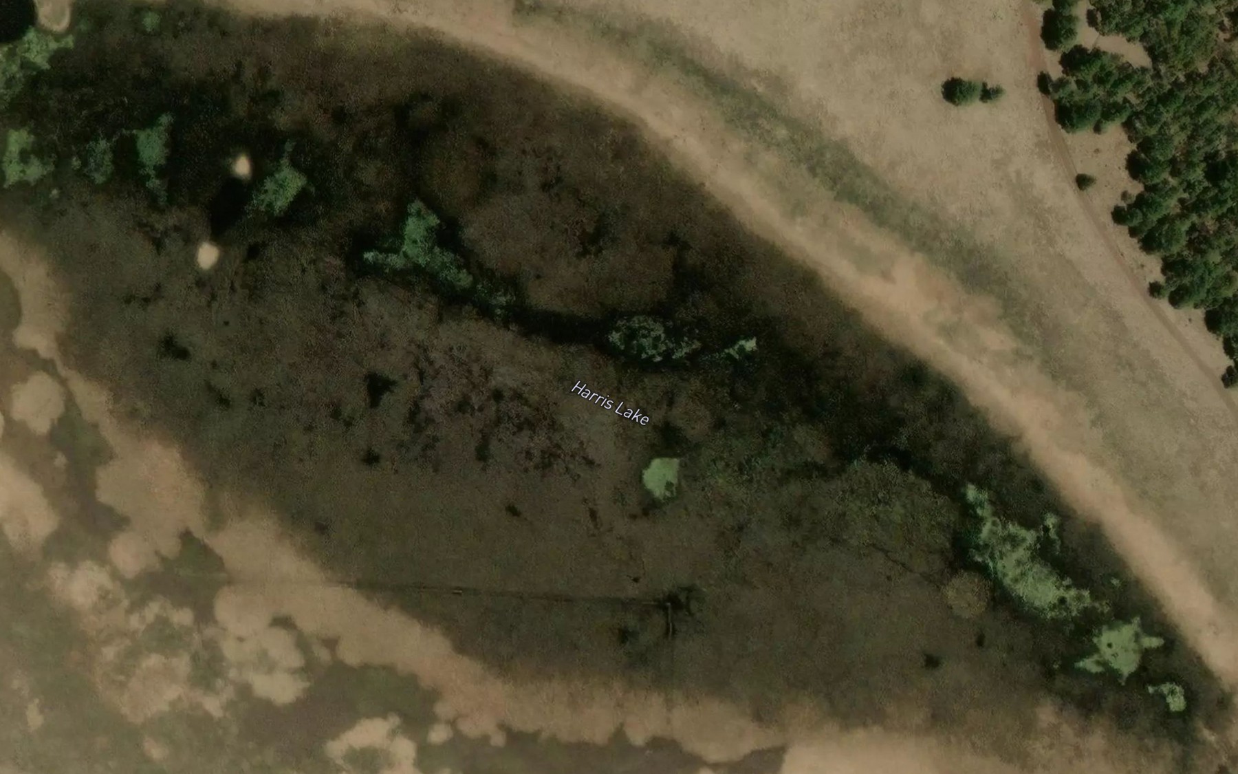 Satellite map of the Harris Lake