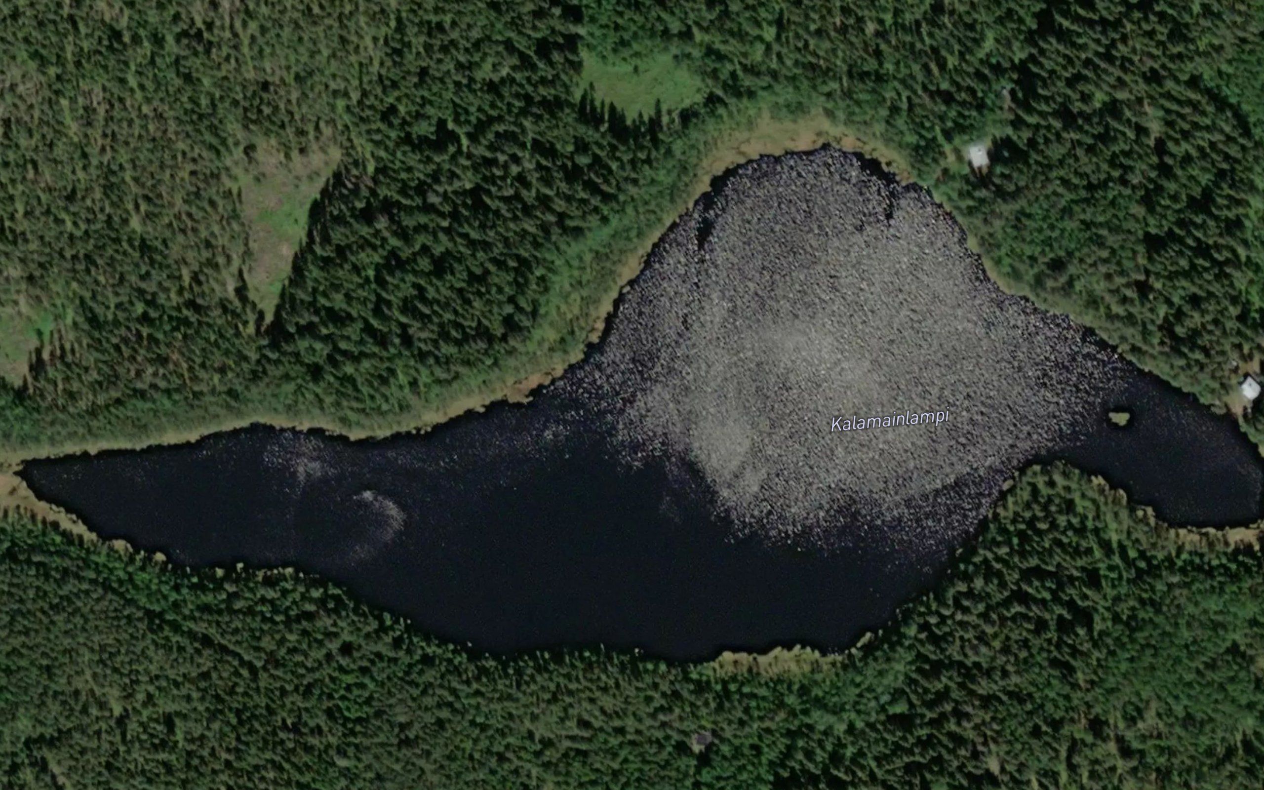 Kalamainlampi