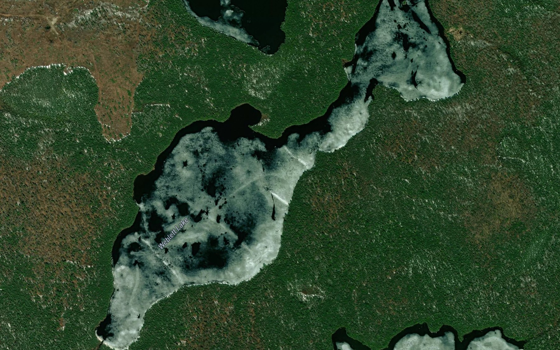 Satellite map of the Weblett Lake