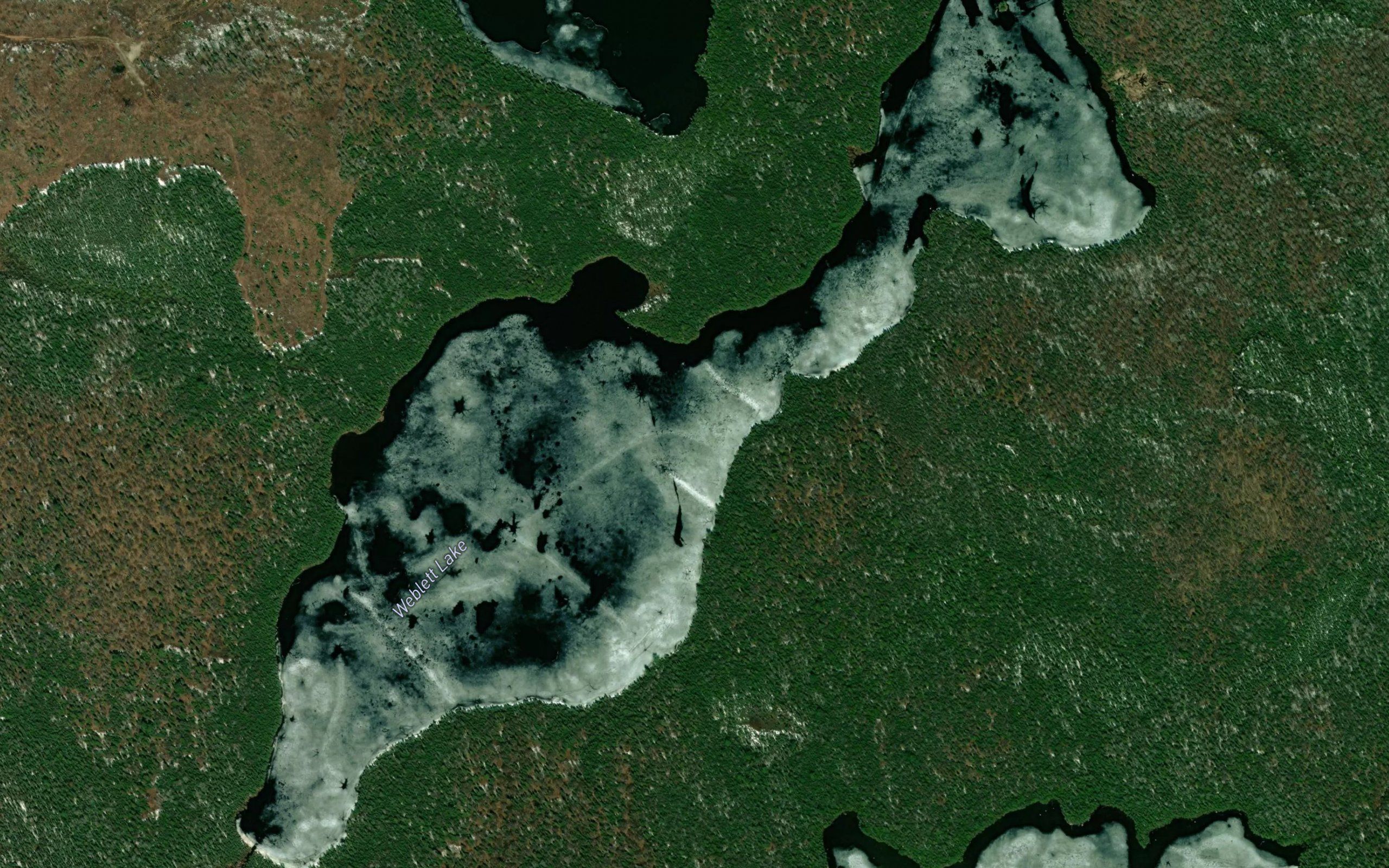 Weblett Lake