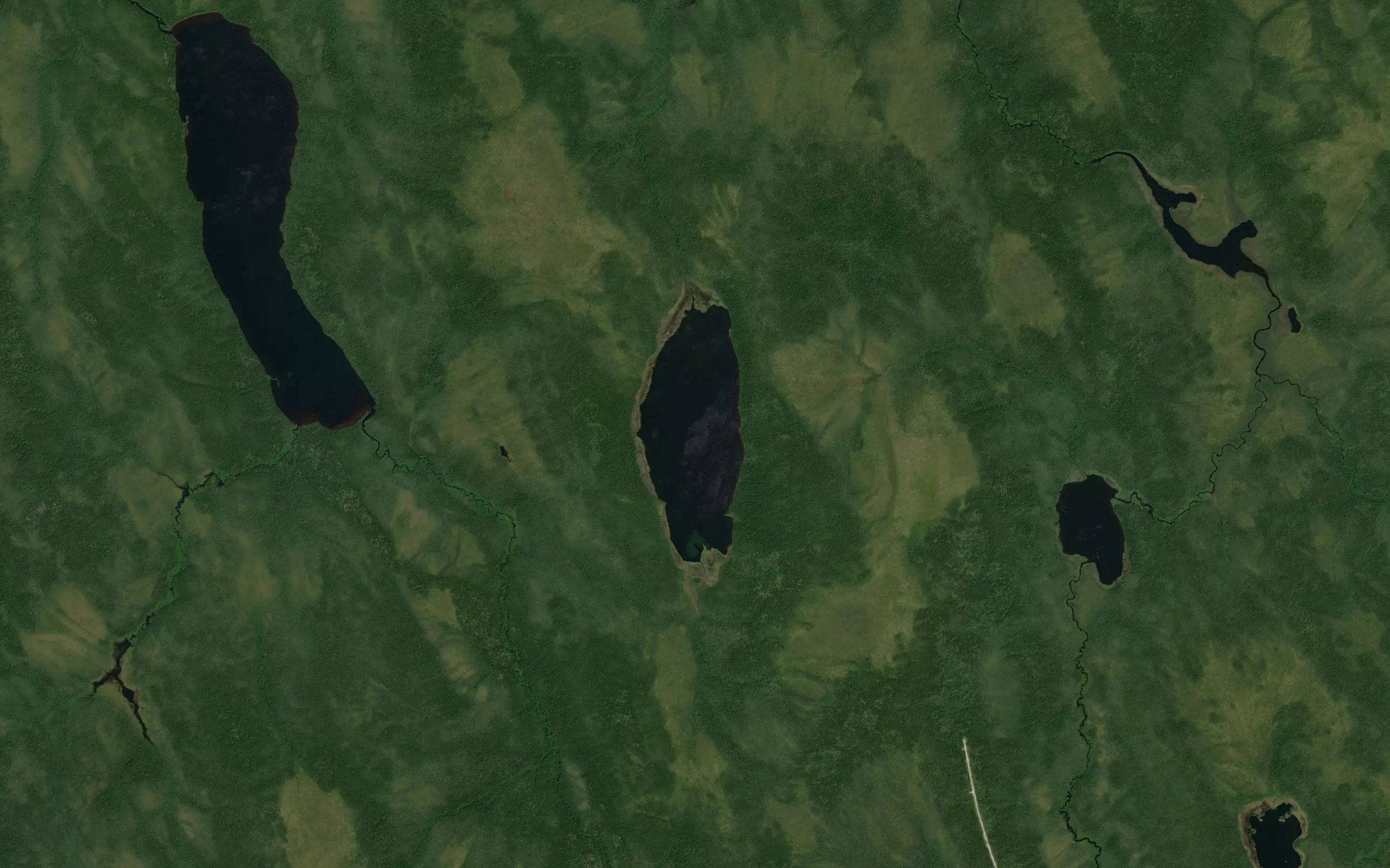 Arps Lake