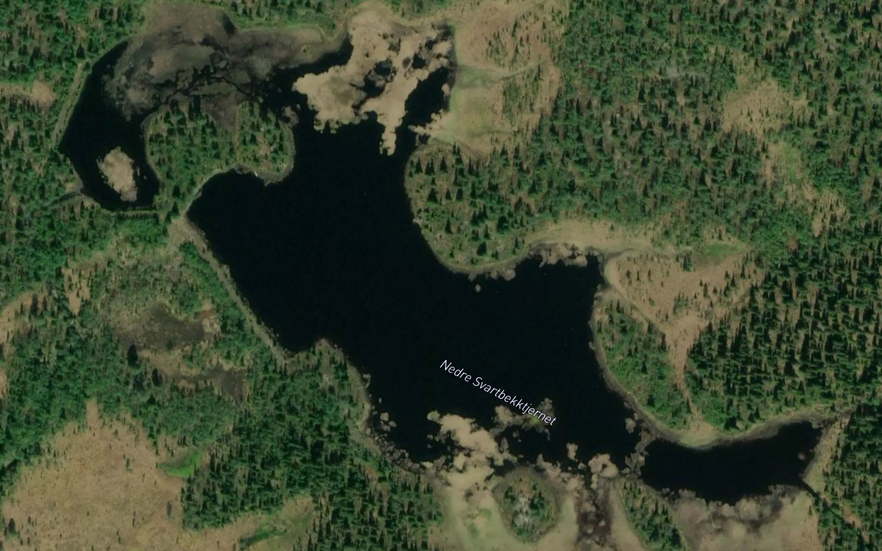Satellite map of the Nedre Svartbekktjernet