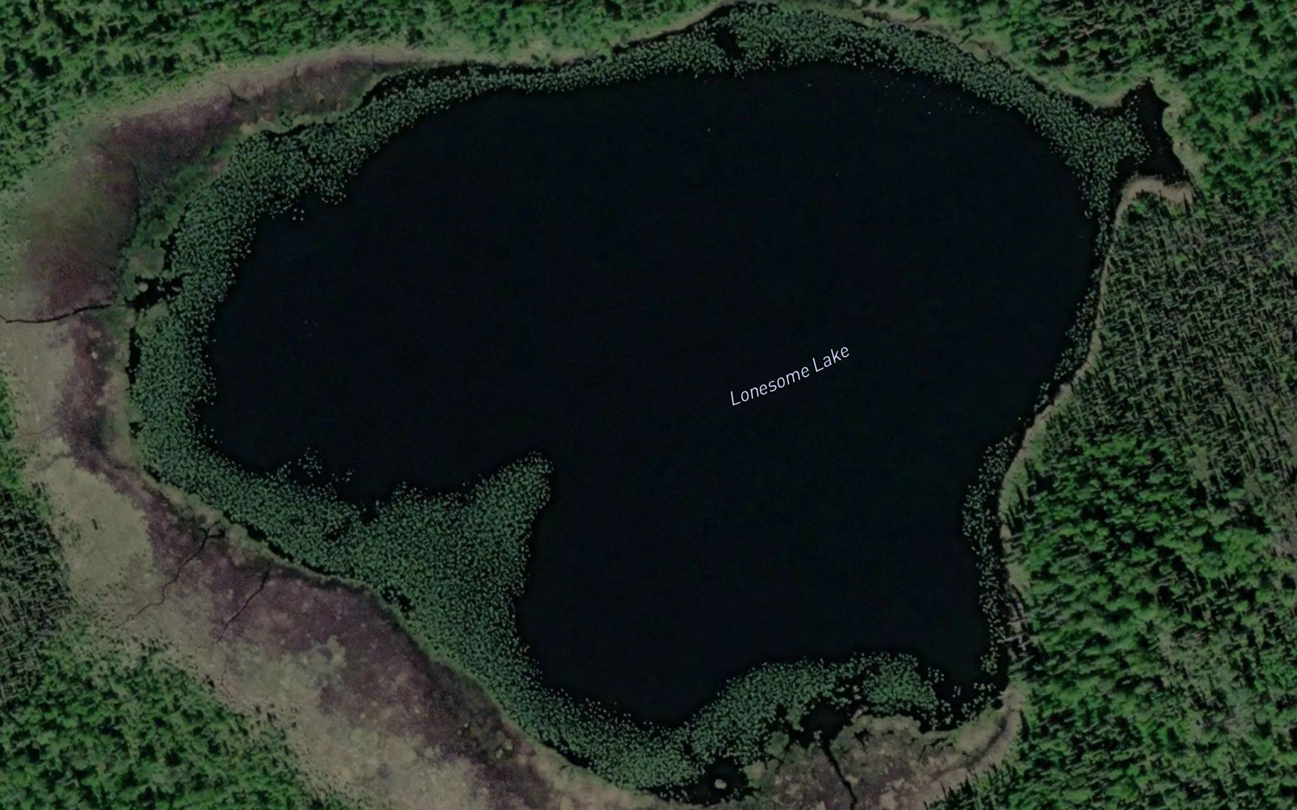 Lonesome Lake