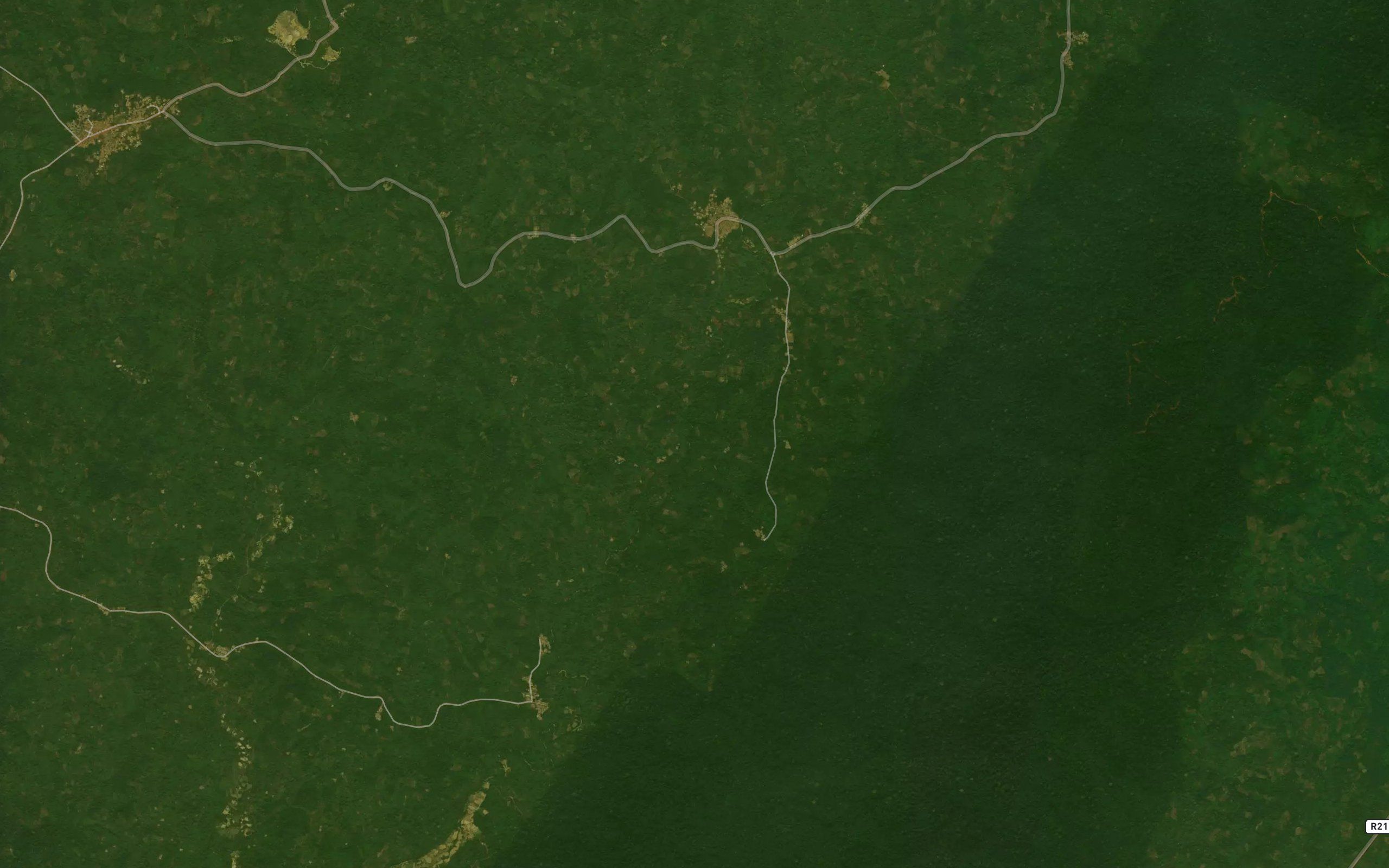 Nyua