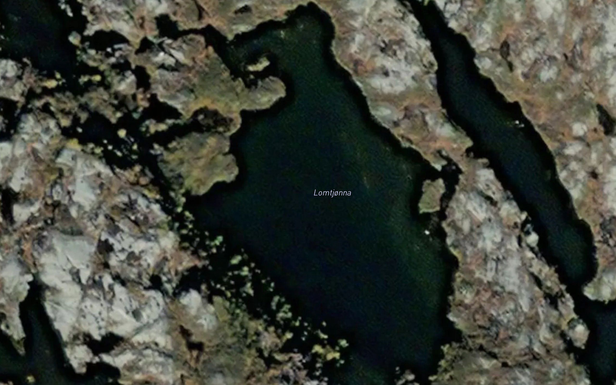 Lomtjorna