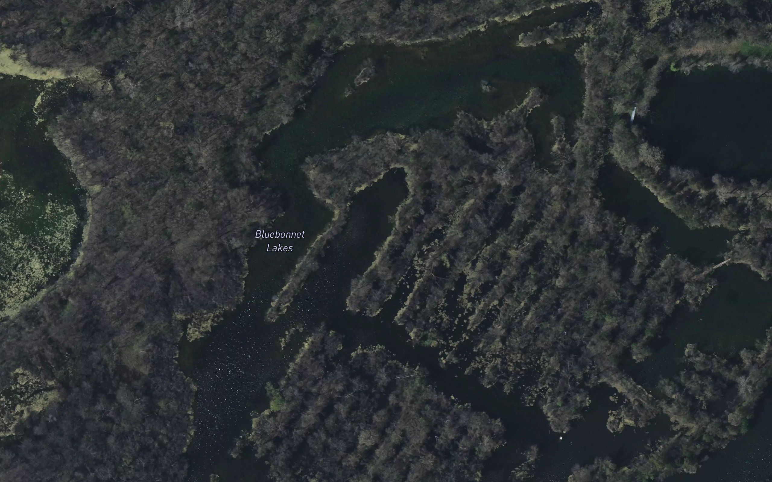 Bluebonnet Lakes