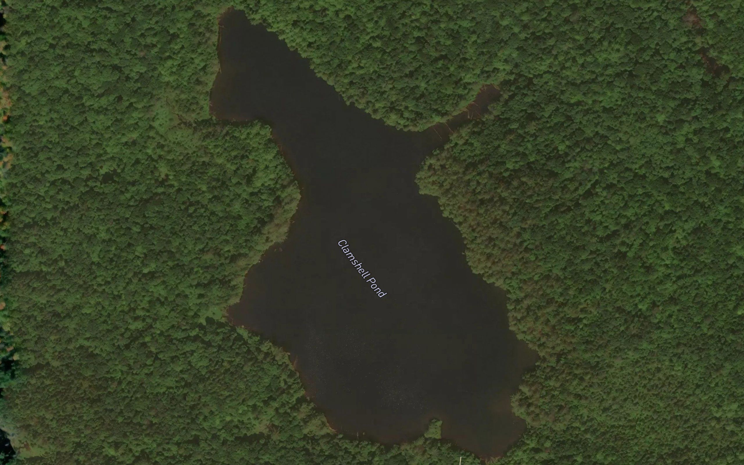 Clamshell Pond