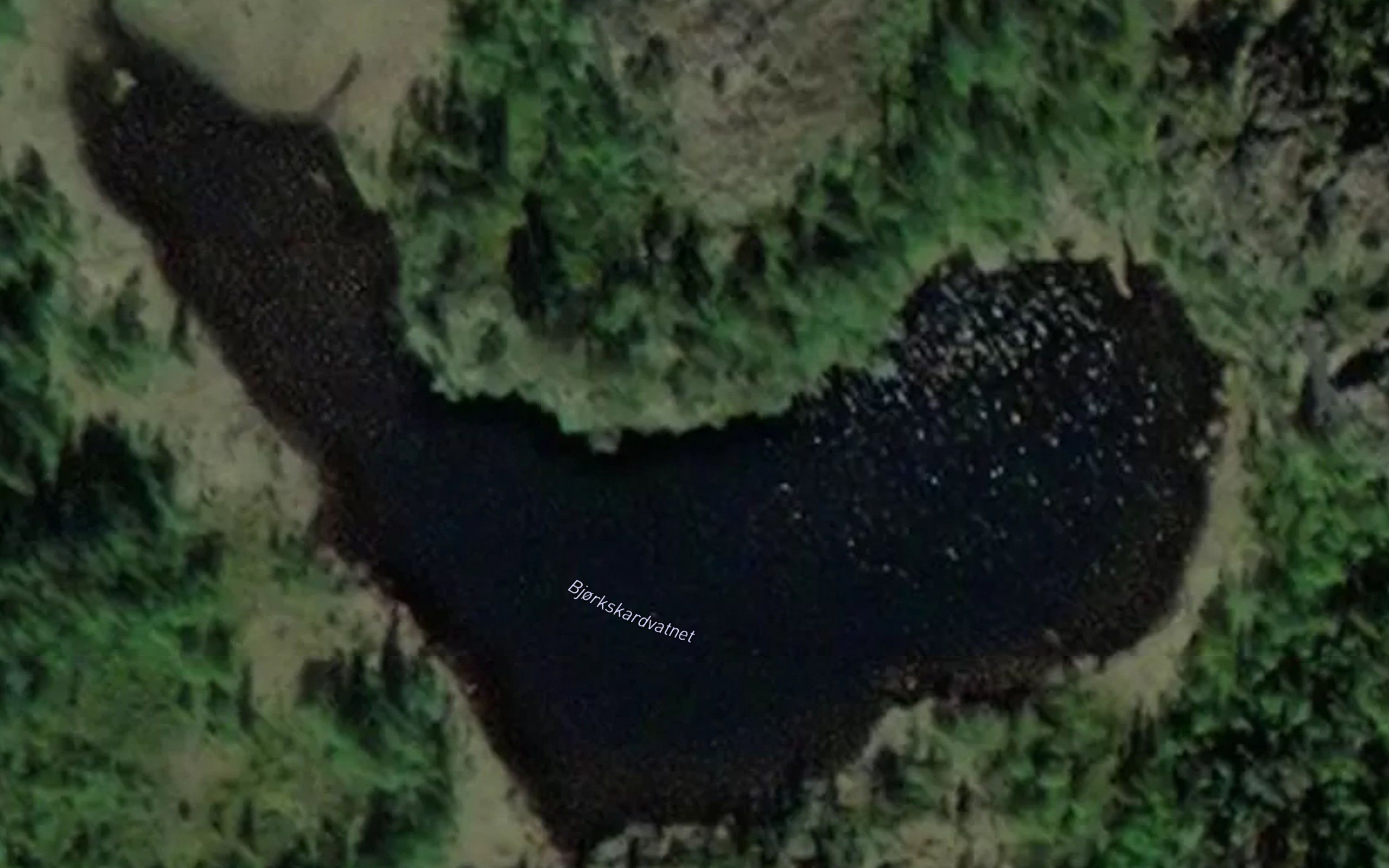 Bjorkskardvatnet