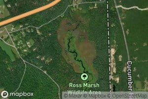 Ross Management Area Pond