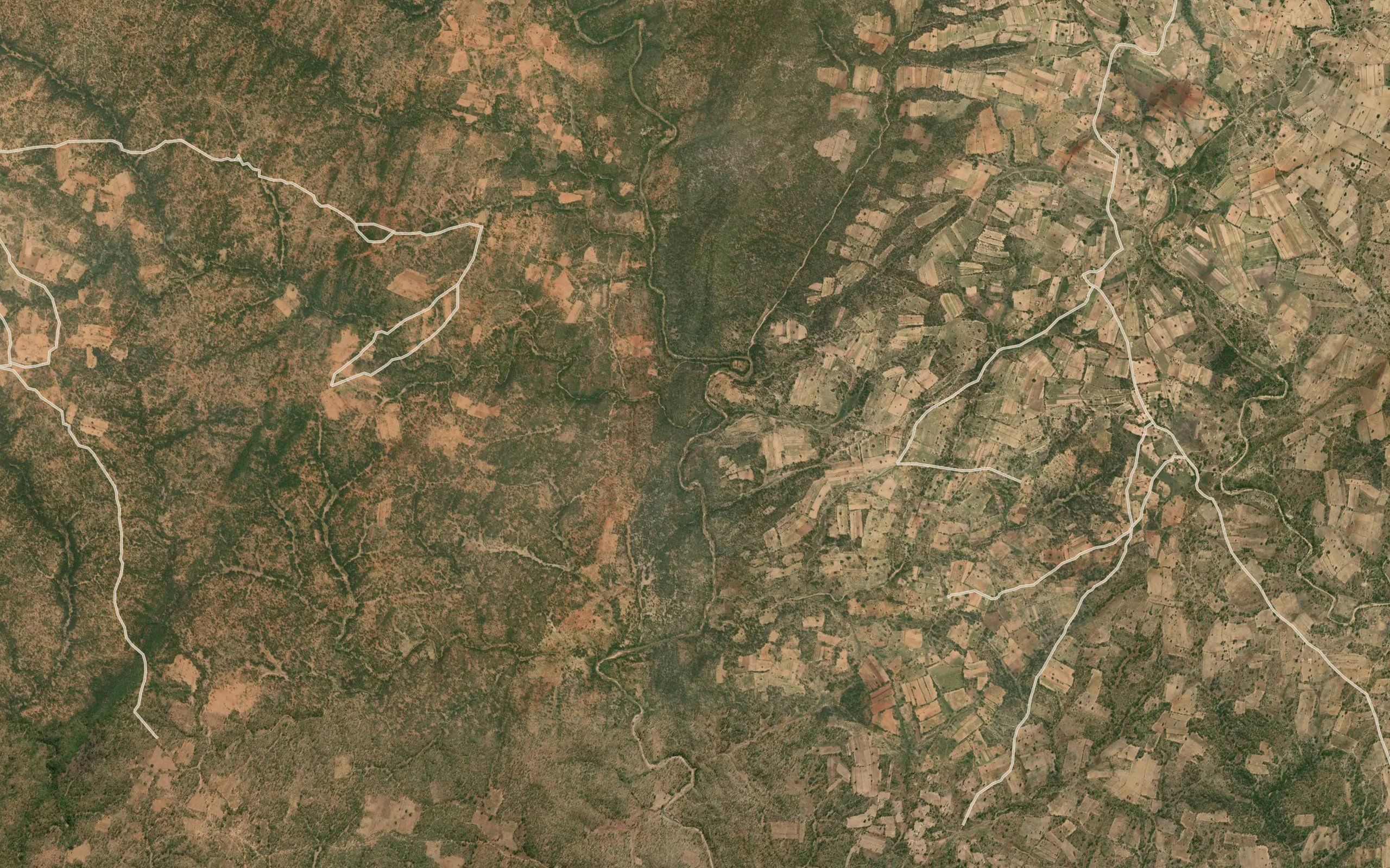 Mulalu