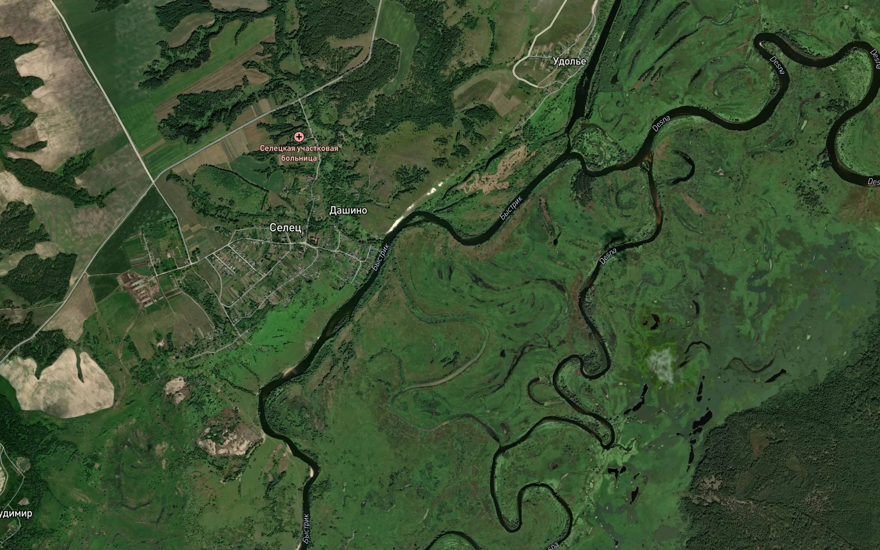 Satellite map of the Ozero Verkhniye Pyatnitskiye
