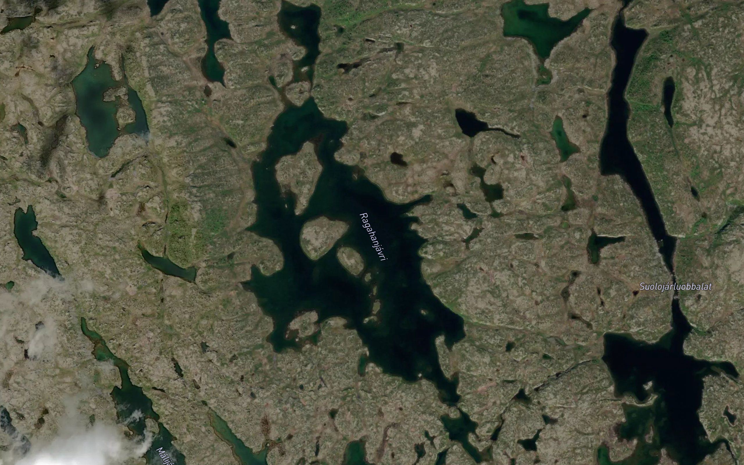 Ragahanjavri
