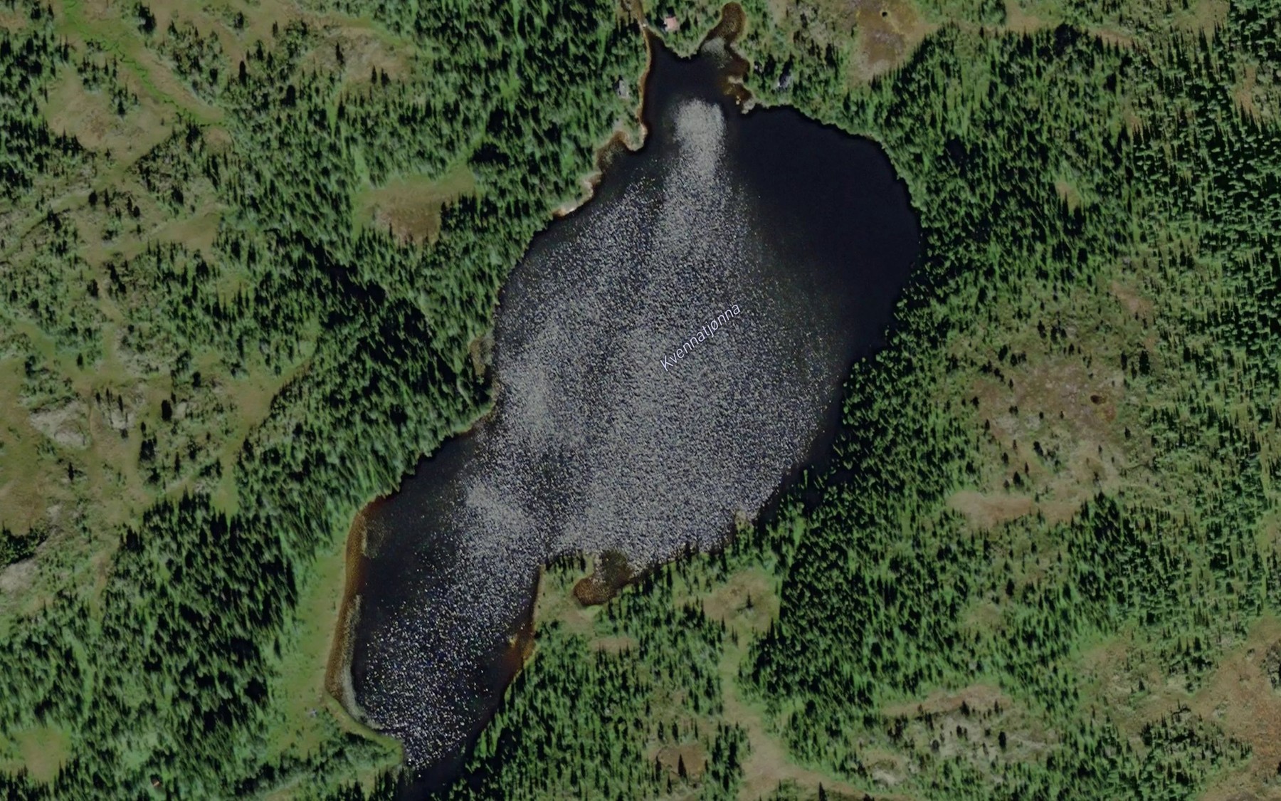 Satellite map of the Kvernatjorna