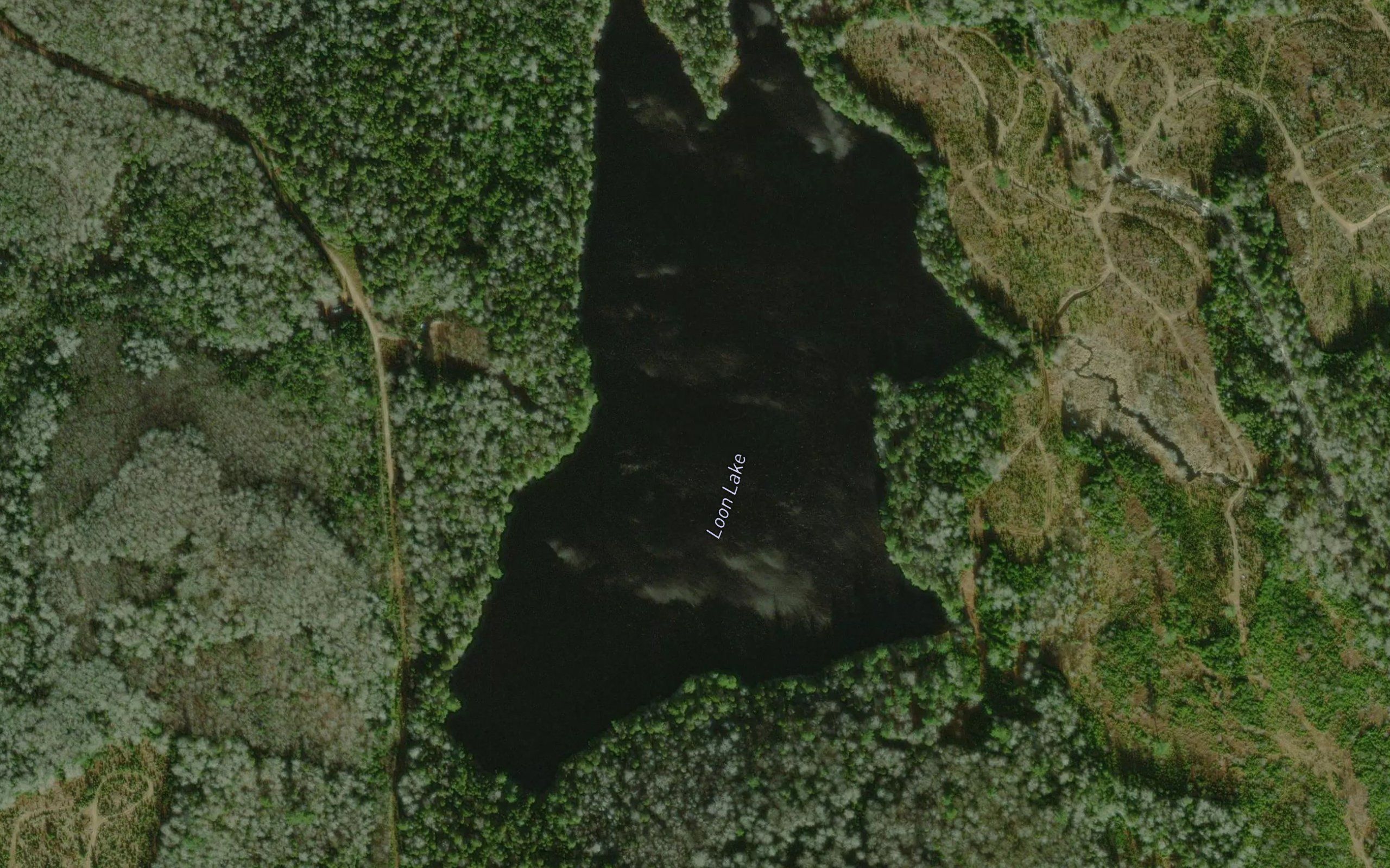 Loon Lake