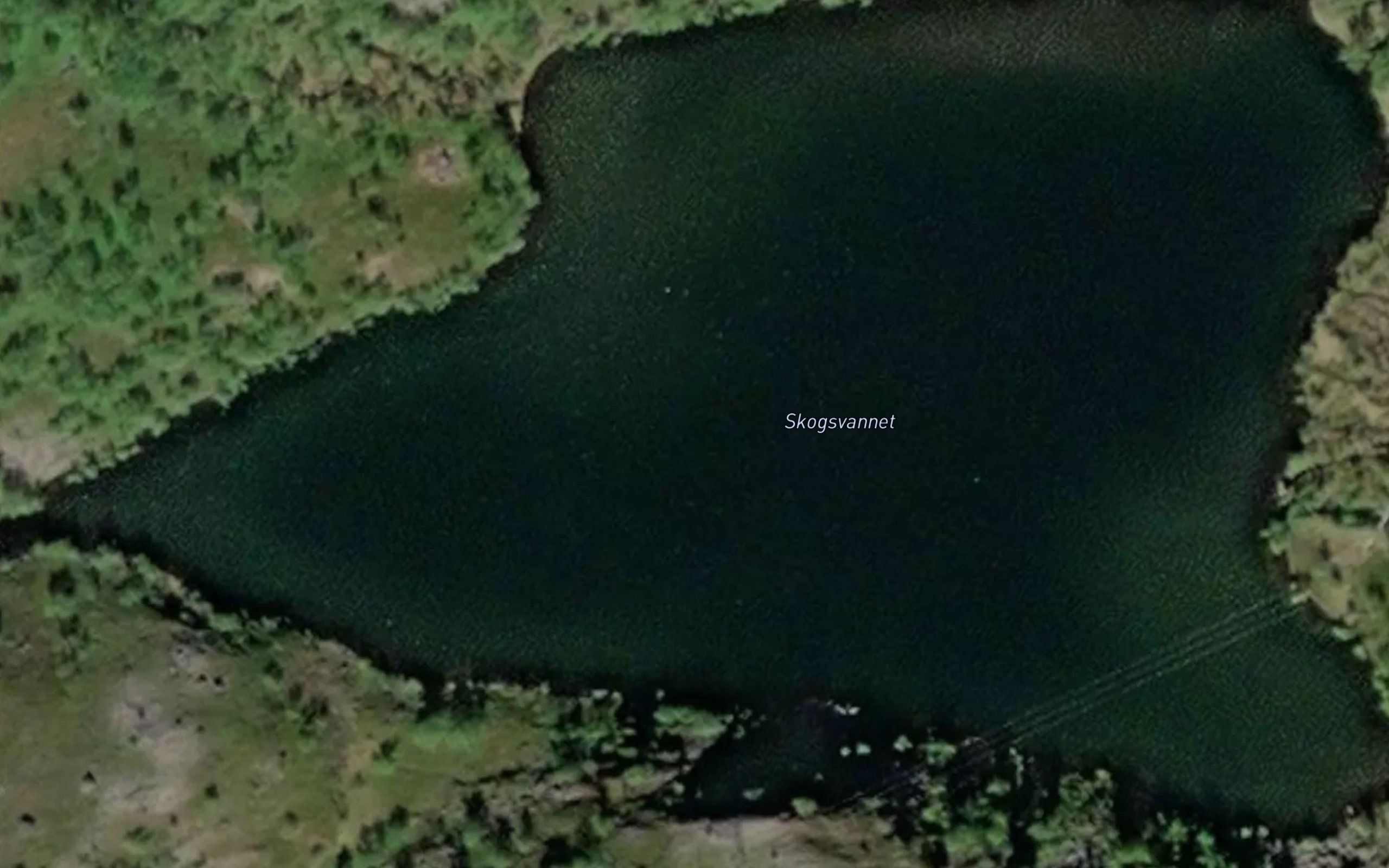 Skogsvatnet