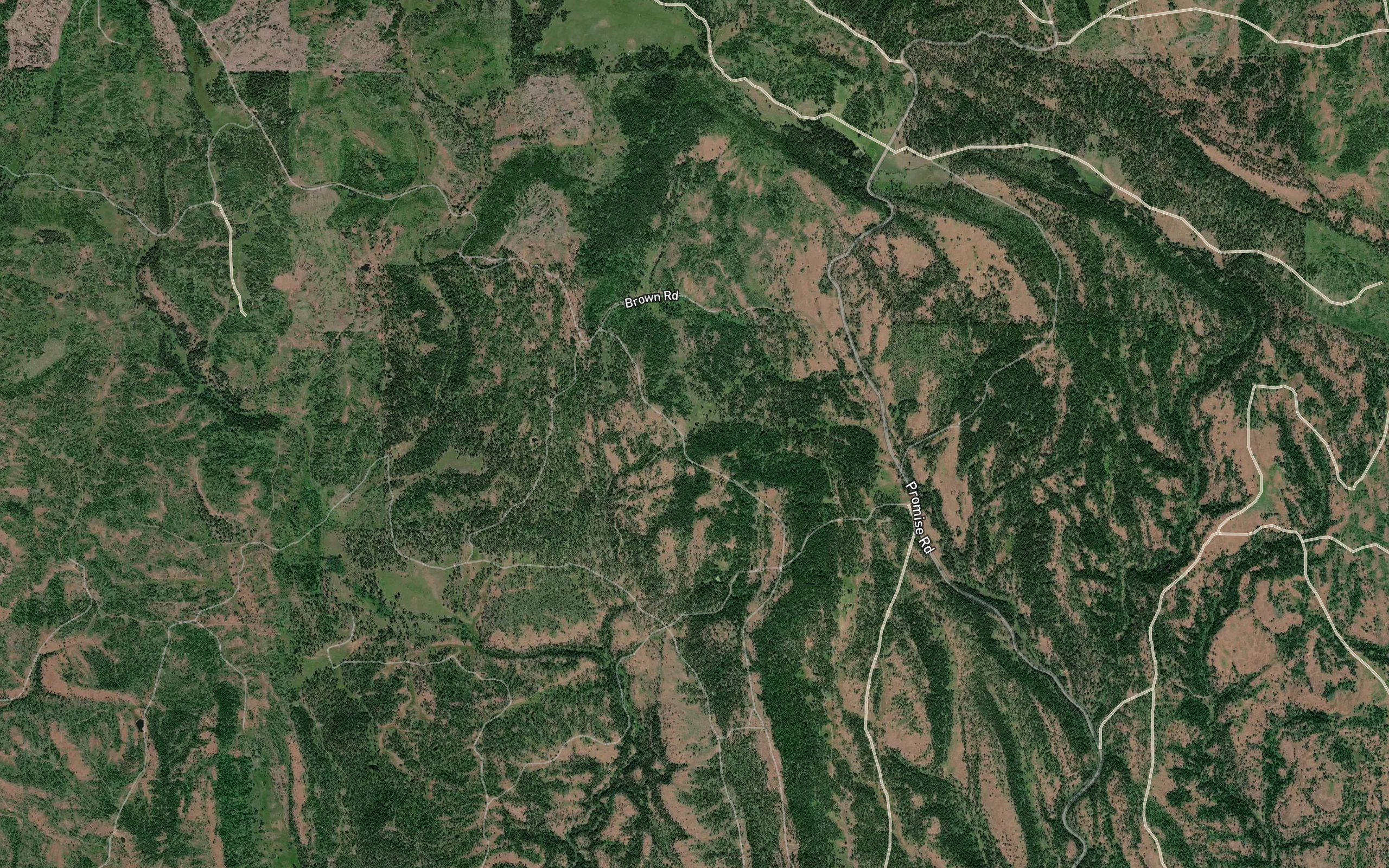 Johnson Spring
