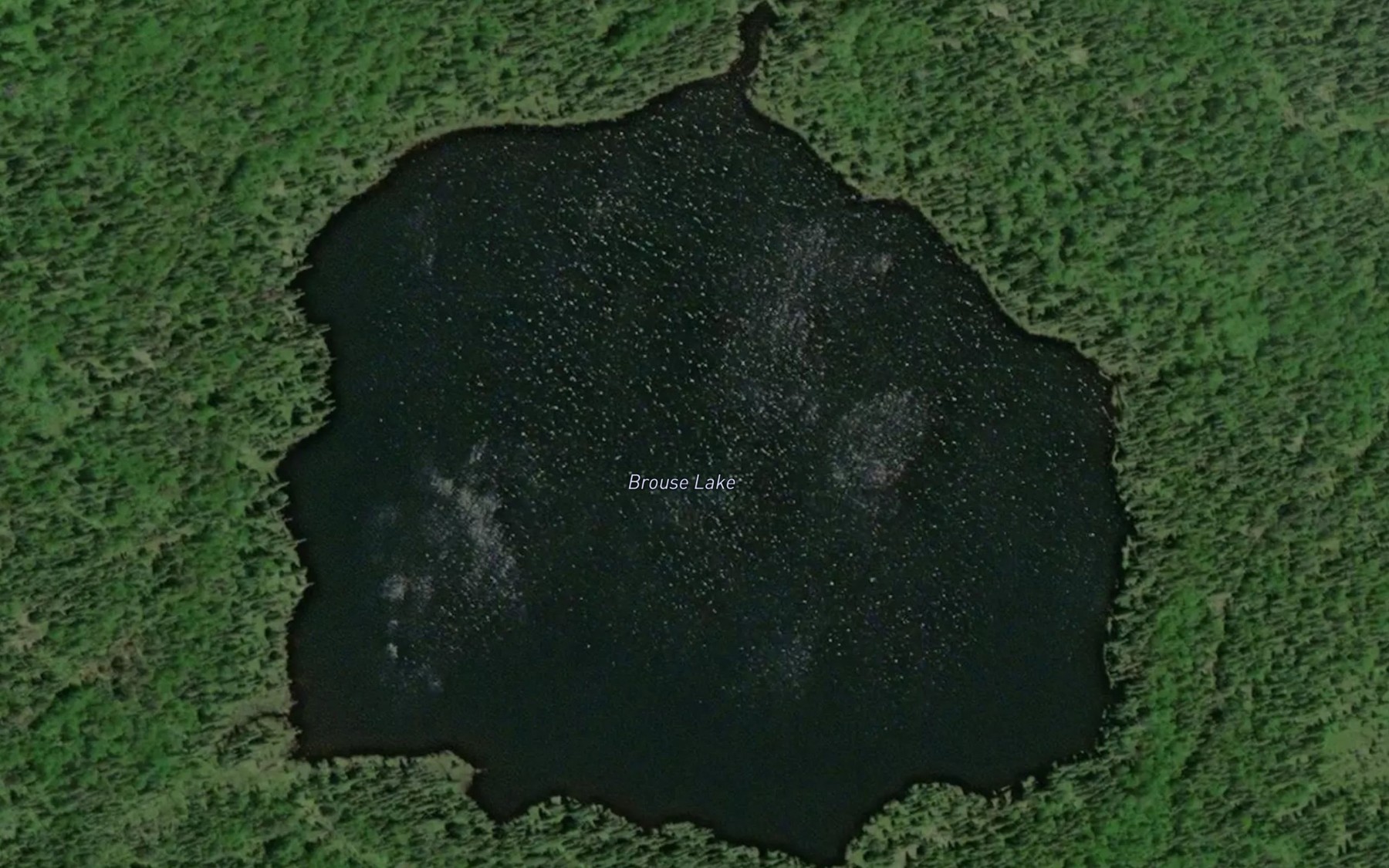 Satellite map of the Brouse Lake