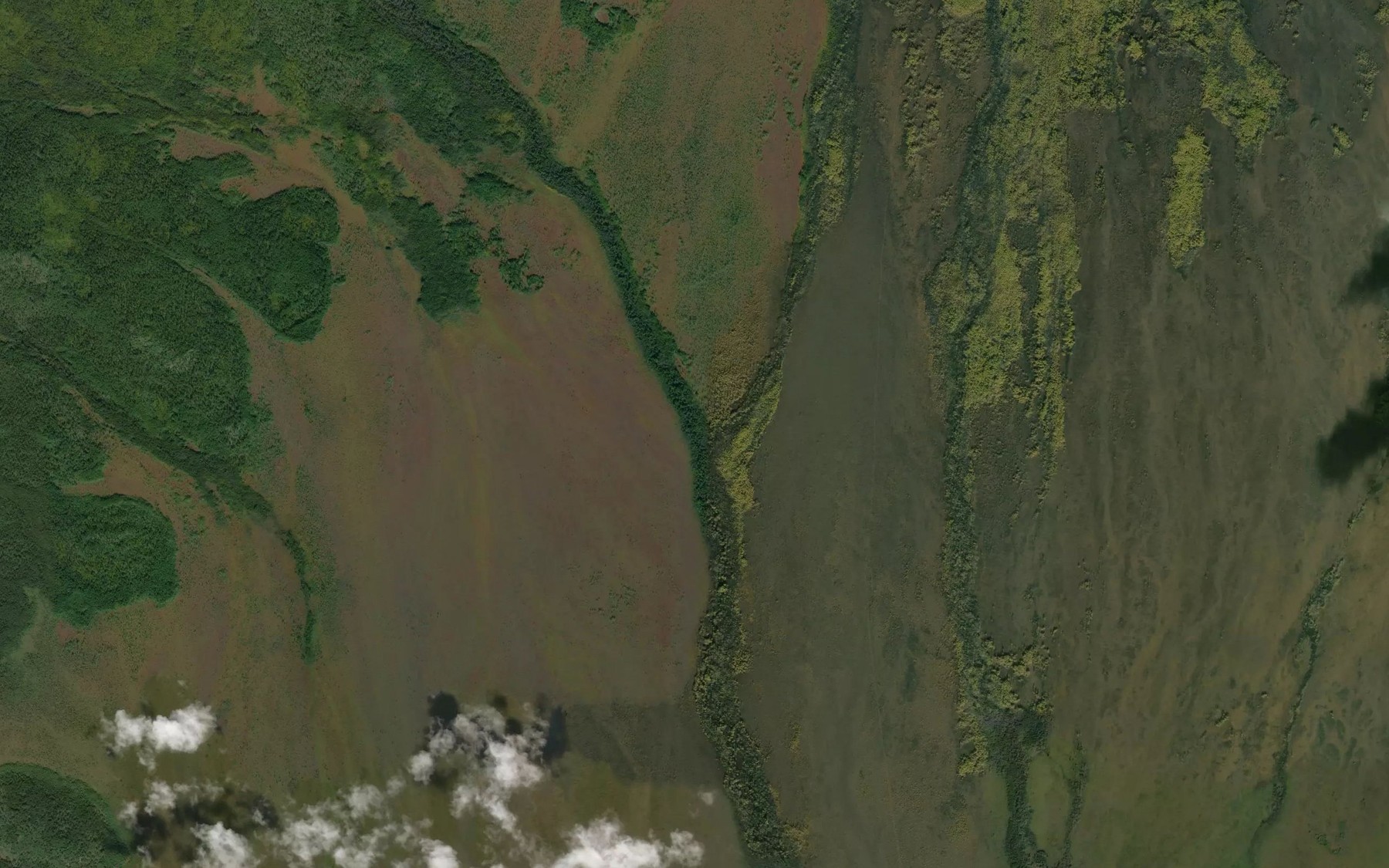 Satellite map of the Pevun