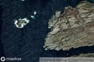 Maggevika