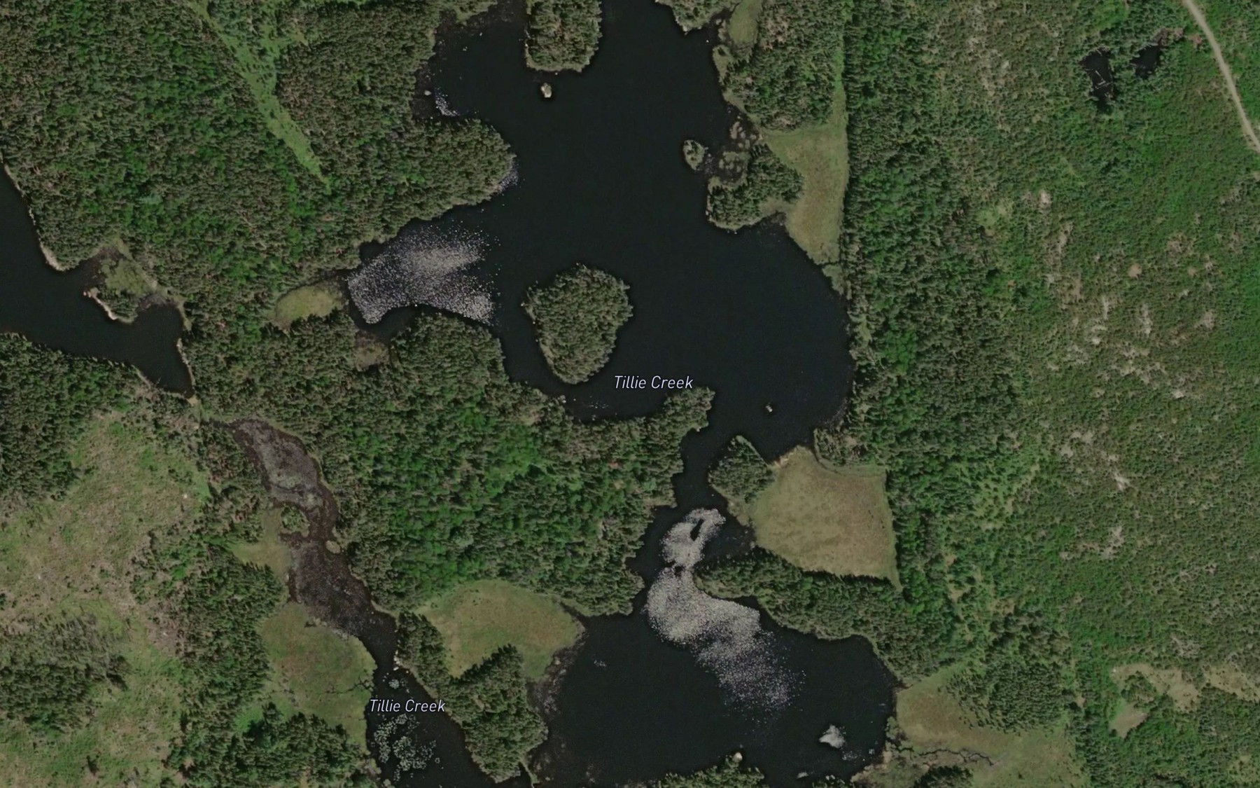 Satellite map of the Tillie Creek