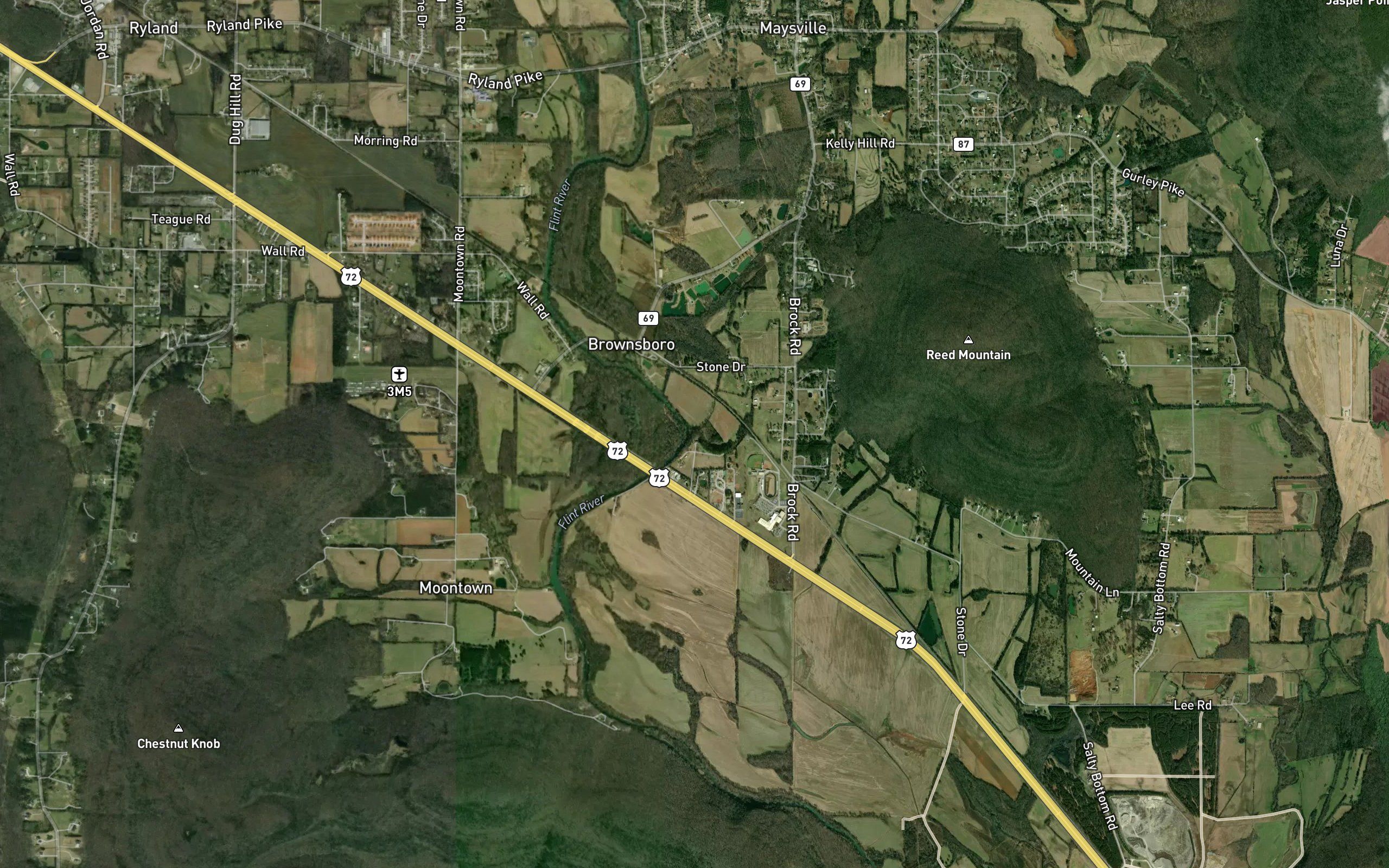 Section Branch
