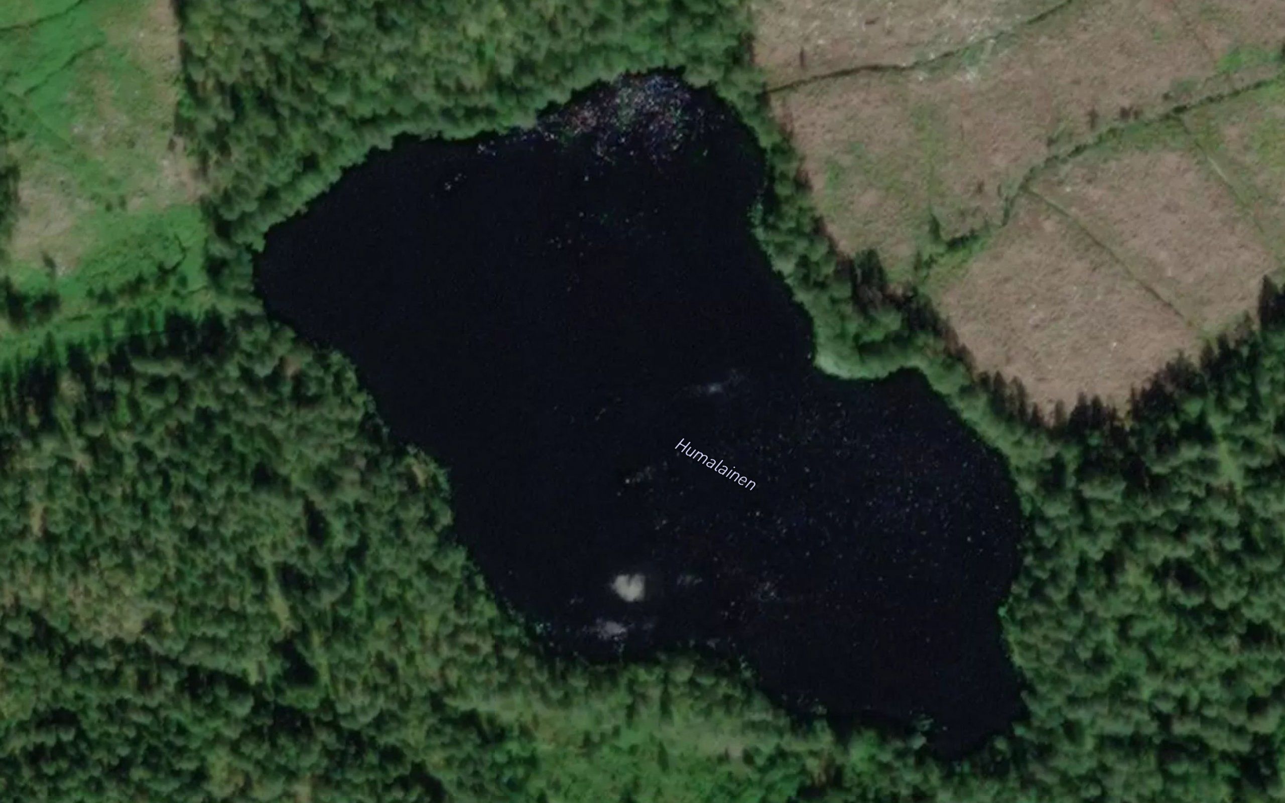 Humalainen
