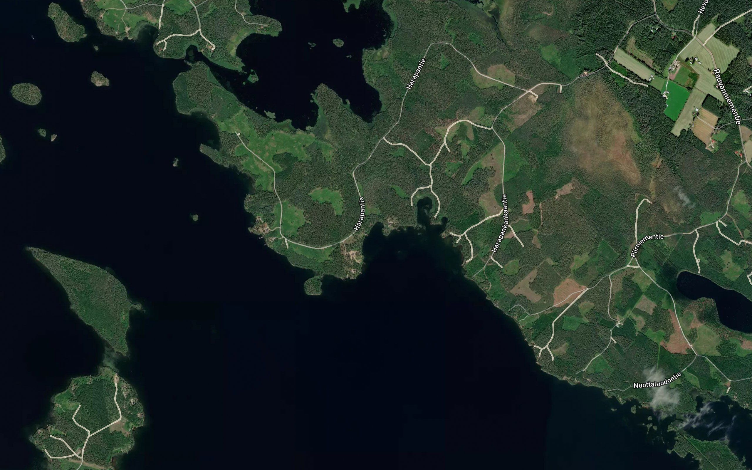 Lepanlahti