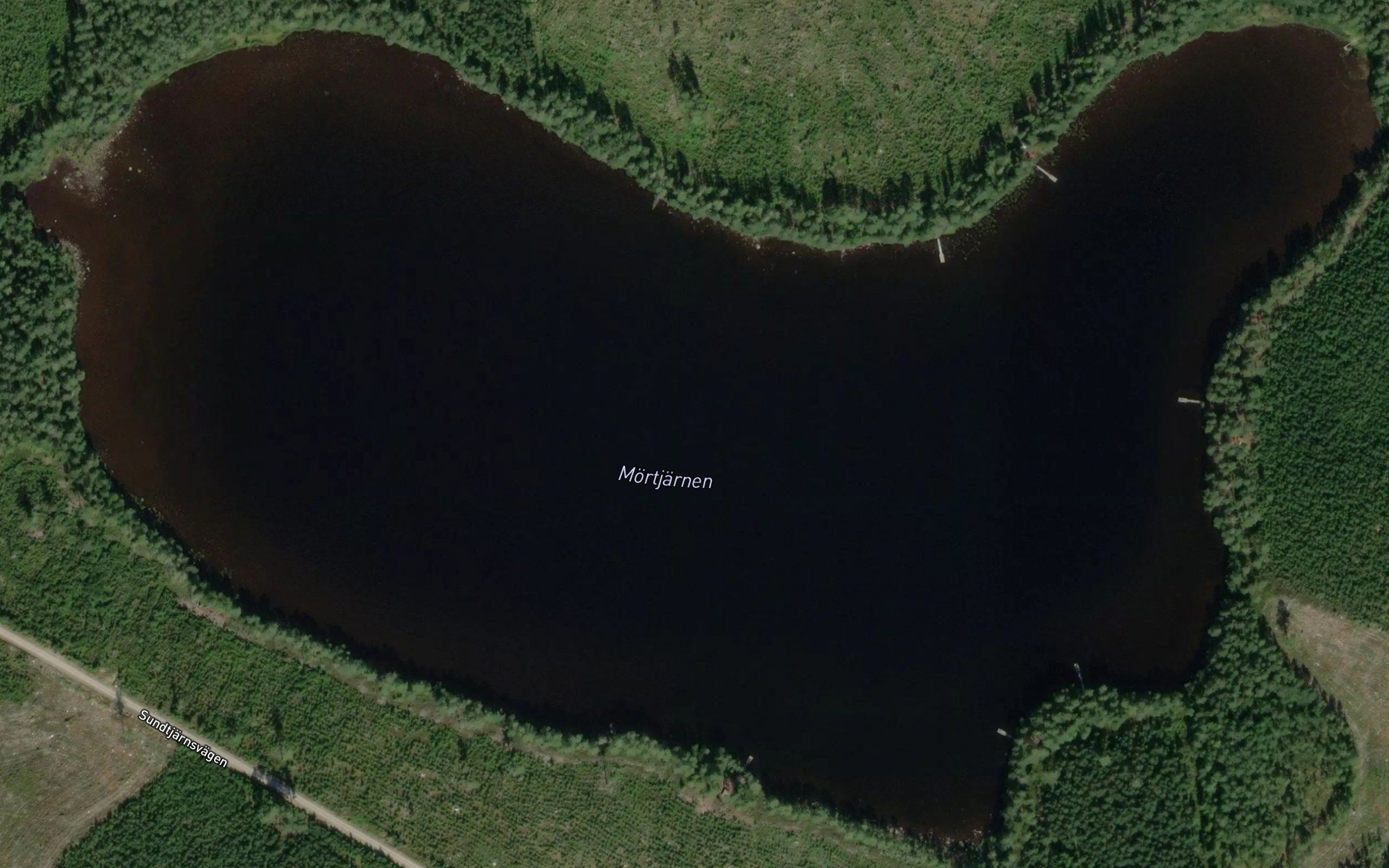 Morttjarn