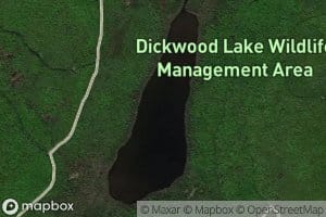 Dickwood Lake