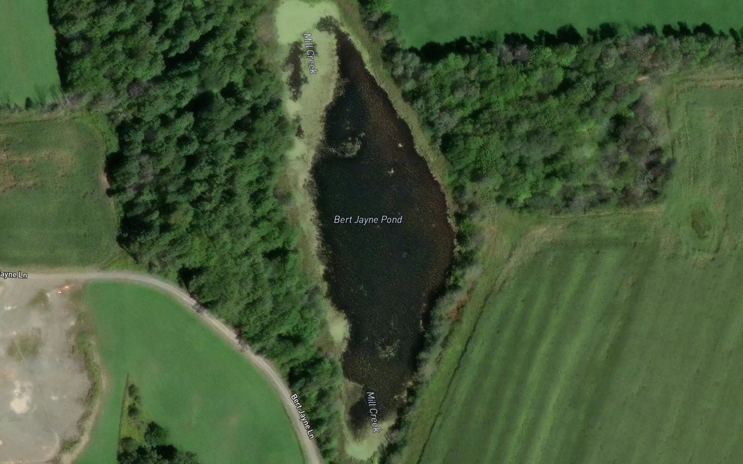 Bert Jayne Pond